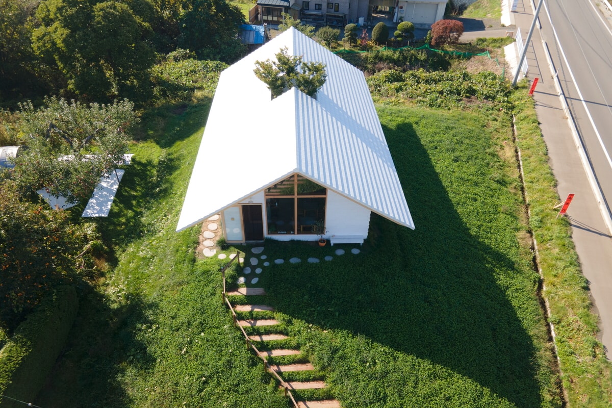 丘の上の木の下のCAFE SHIZUKU / mizuiro architects - TECTURE MAG
