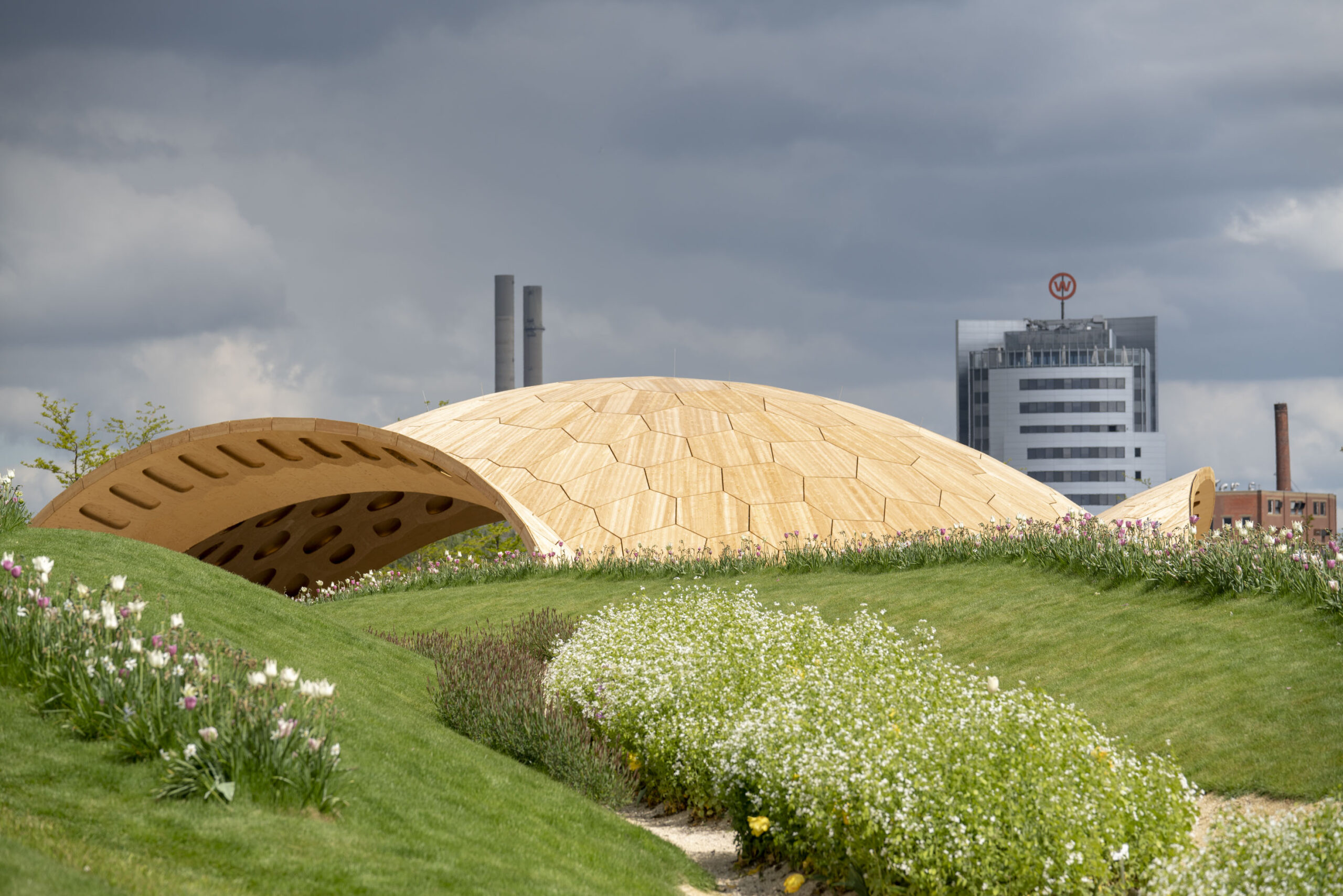 木造×コンピュテーショナルデザイン×ロボット製造×ウニ!?シュトゥット