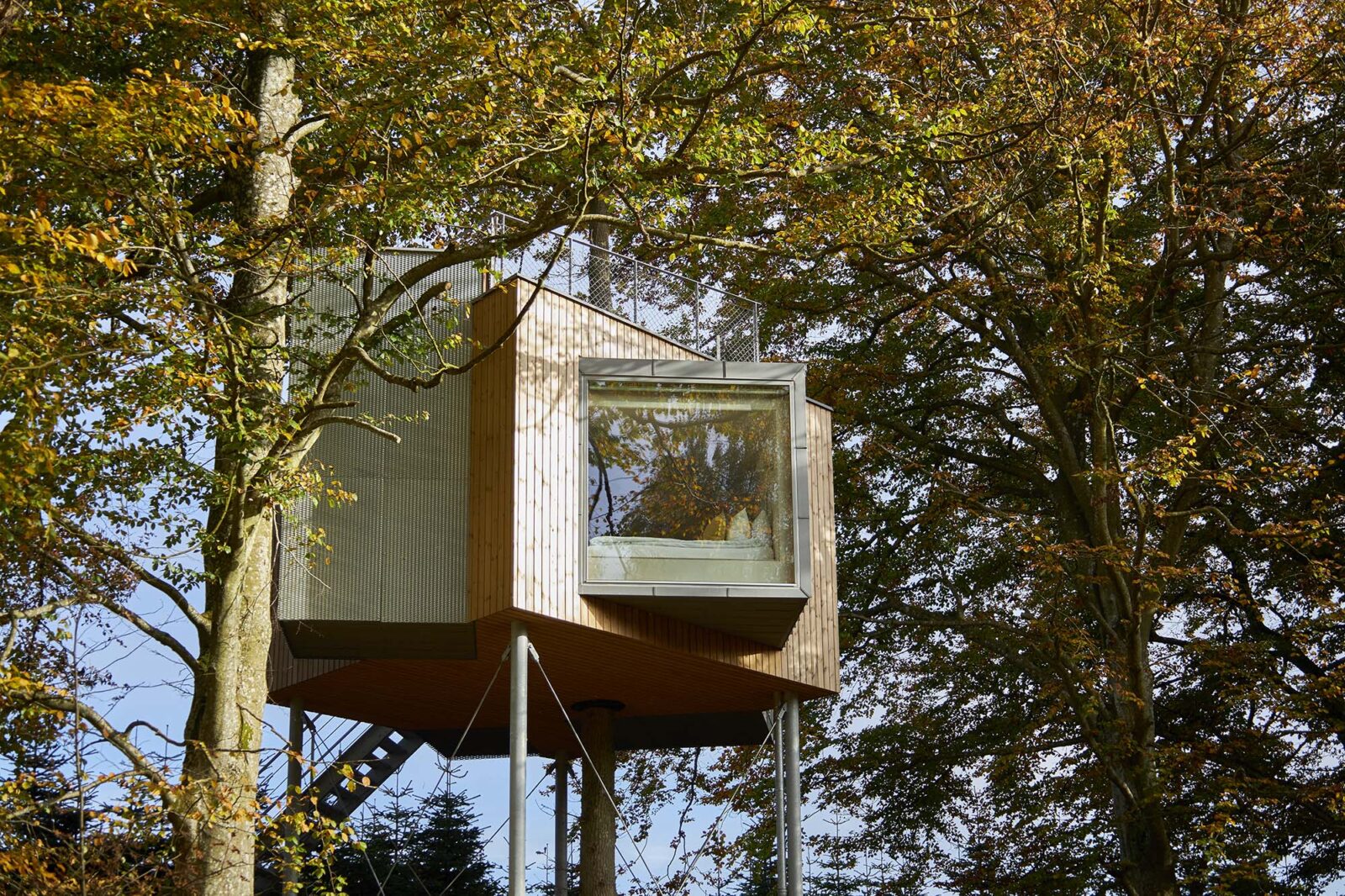 樹木と暮らす木の上のホテル〈ツリートップホテル・ロヴタグ