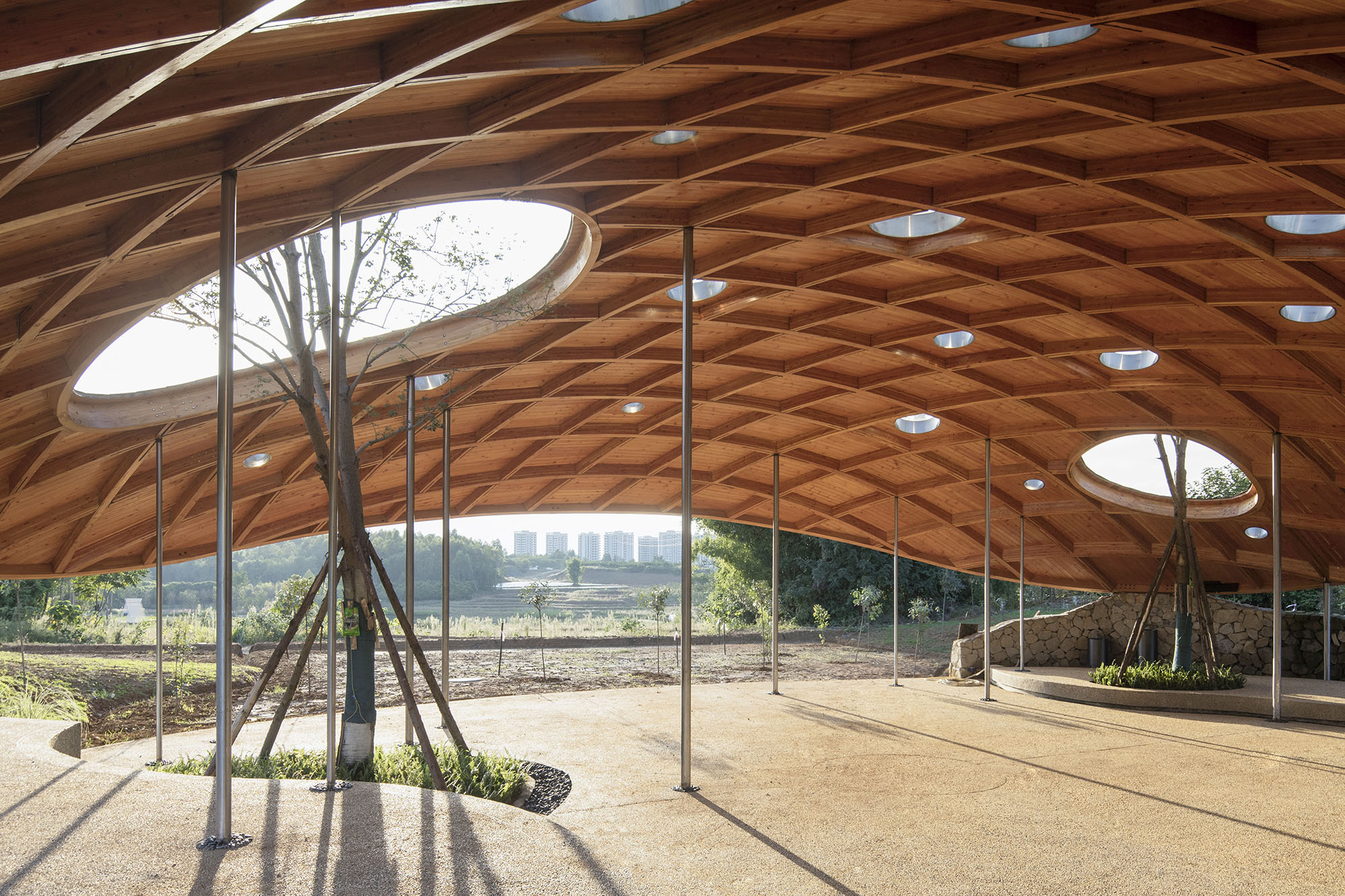 軽やかな木製ドームが包む集いの場〈黒龍灘ドーム音楽ホール〉Studio