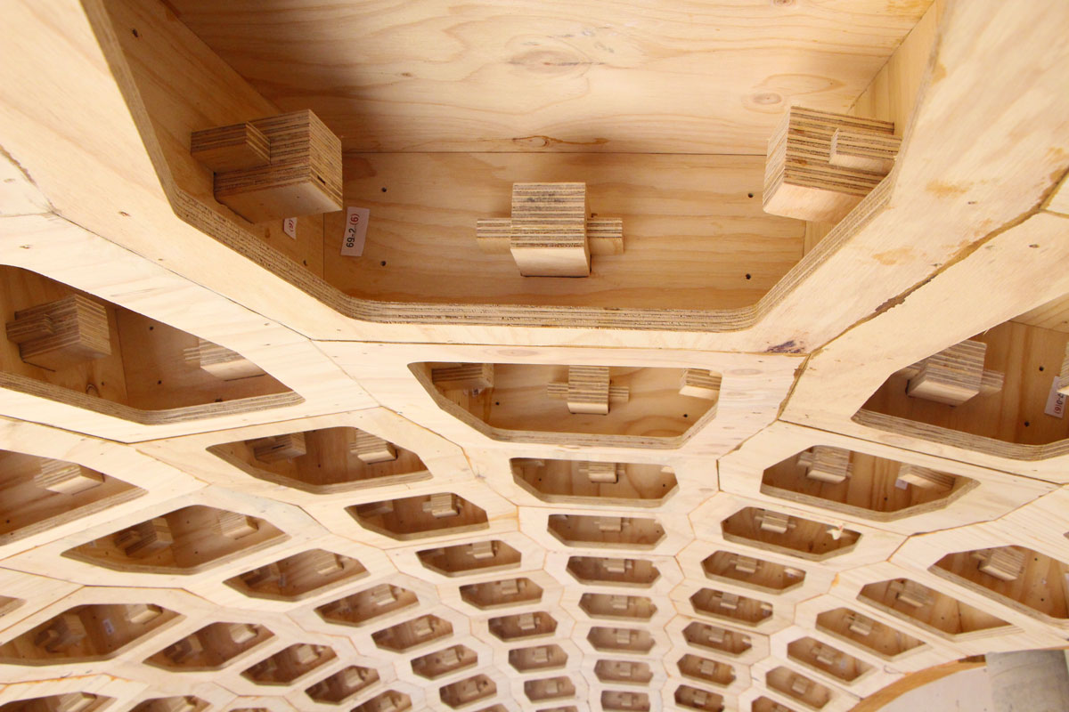 〈HexBox Canopy〉設計：DTC & Code-to-Production Team