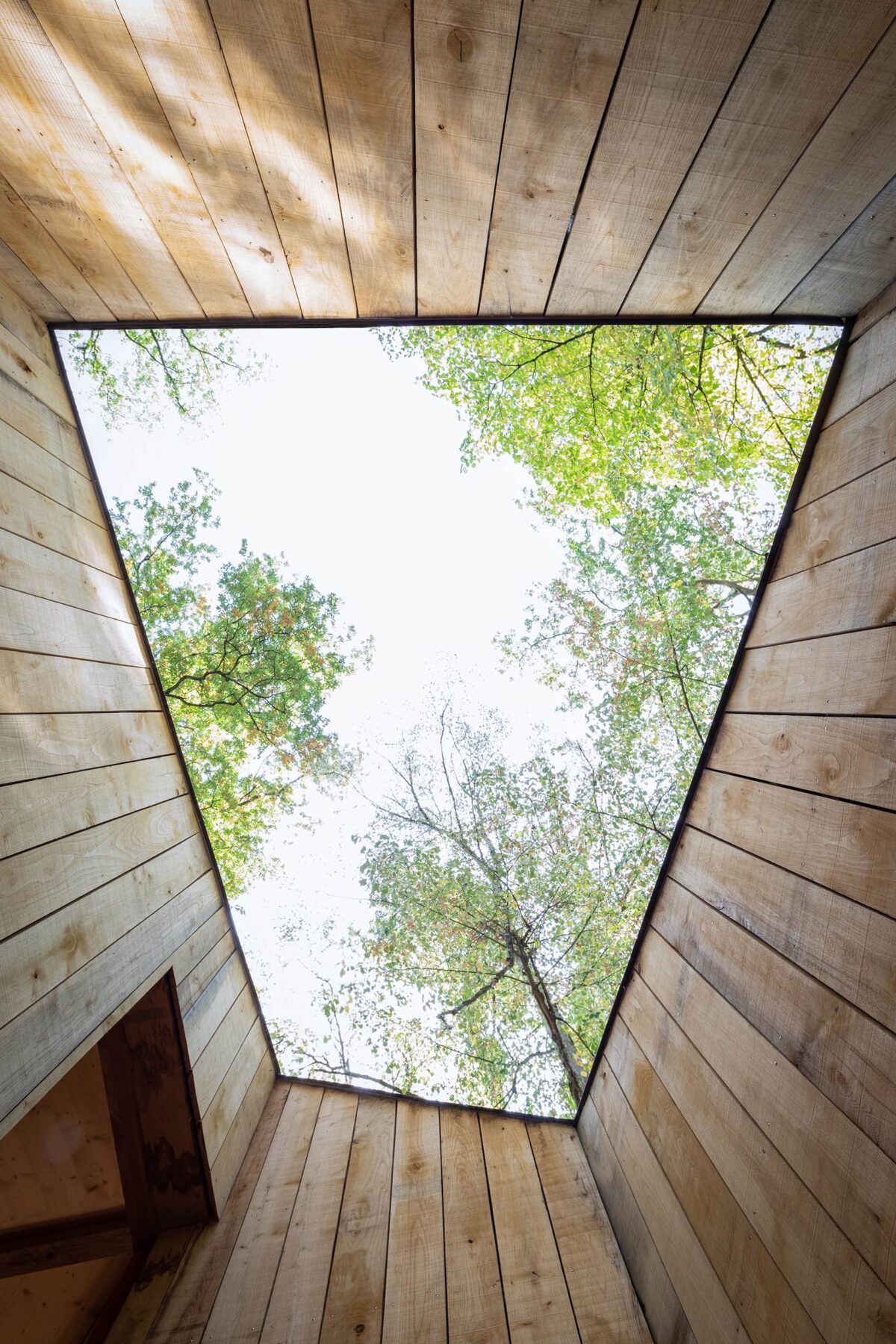 〈100% WOODEN HOUSE〉設計：LOCAL、Suphasidh Studio