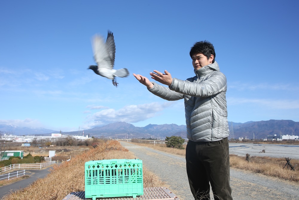 中嶌 健「災害救援鳩の研究」