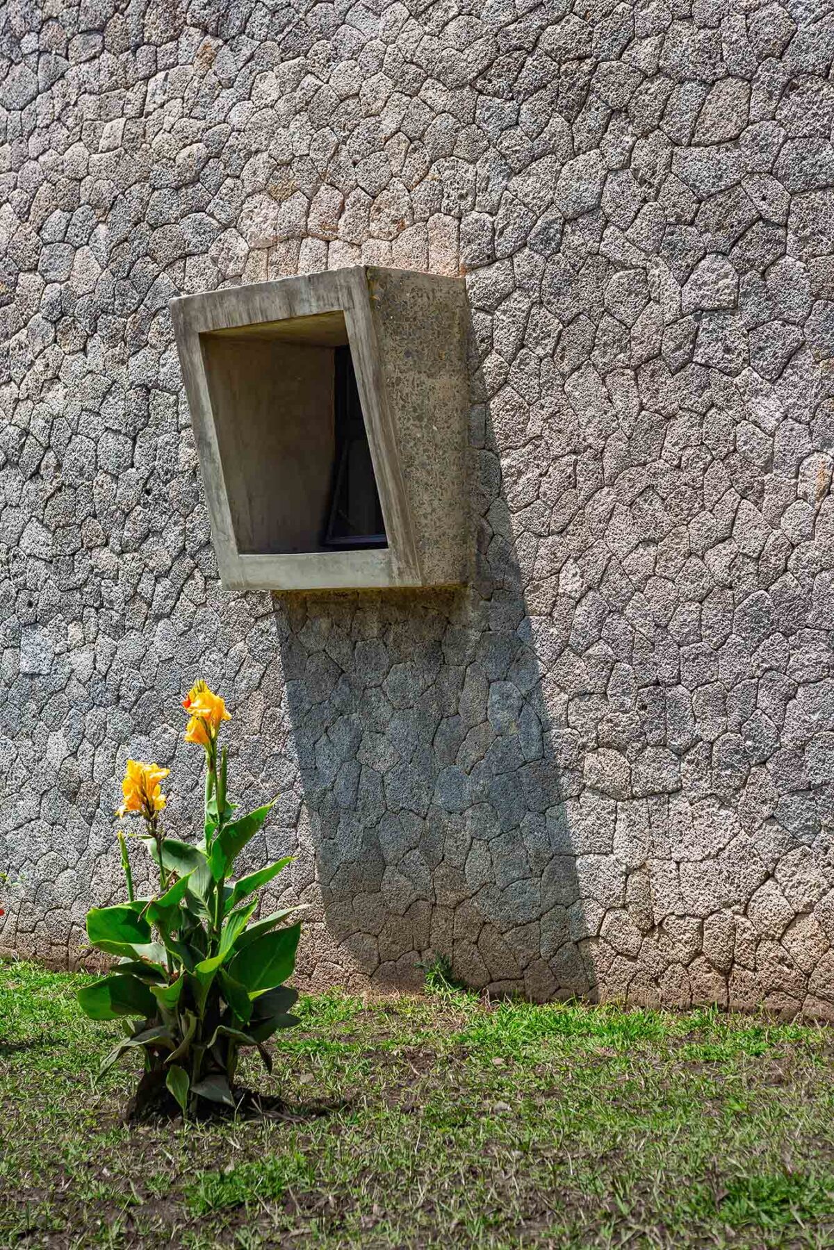 〈ヴィルンガ・マウンテン・スピリッツ蒸留所（Virunga Mountain Spirits Distillery）〉設計：BE_Design