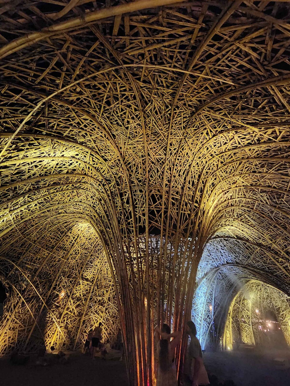 〈Chrysalis〉設計：ケイブ・アーバン（Cave Urban）