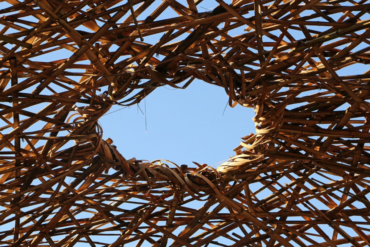 〈Chrysalis〉設計：ケイブ・アーバン（Cave Urban）