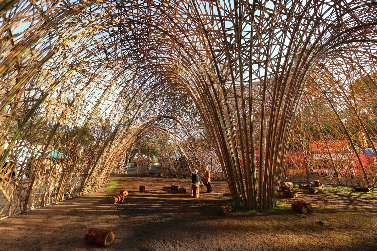 〈Chrysalis〉設計：ケイブ・アーバン（Cave Urban）