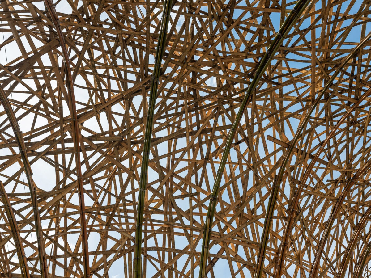 〈Chrysalis〉設計：ケイブ・アーバン（Cave Urban）