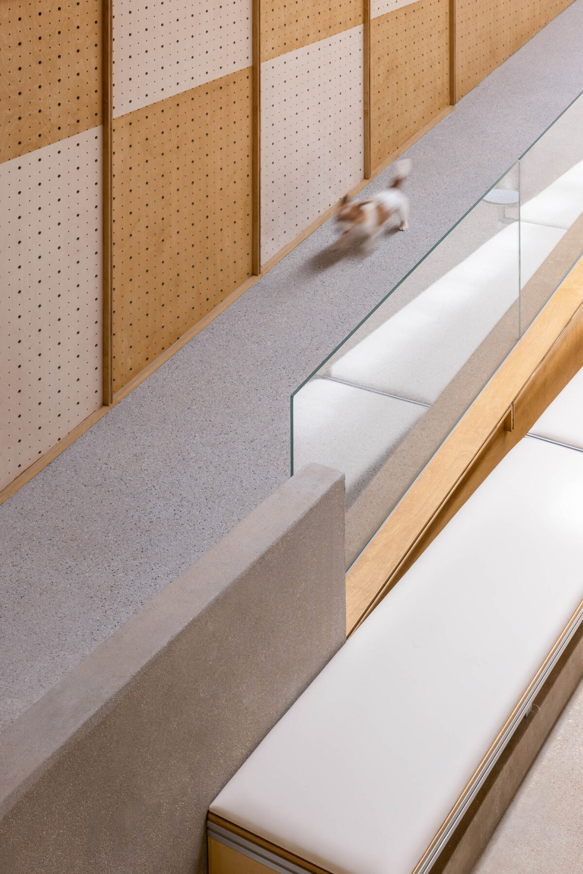 〈ヒーリングペット（Healing pets）〉トータルデザイン： インフォーマル・デザイン（Informal Design）