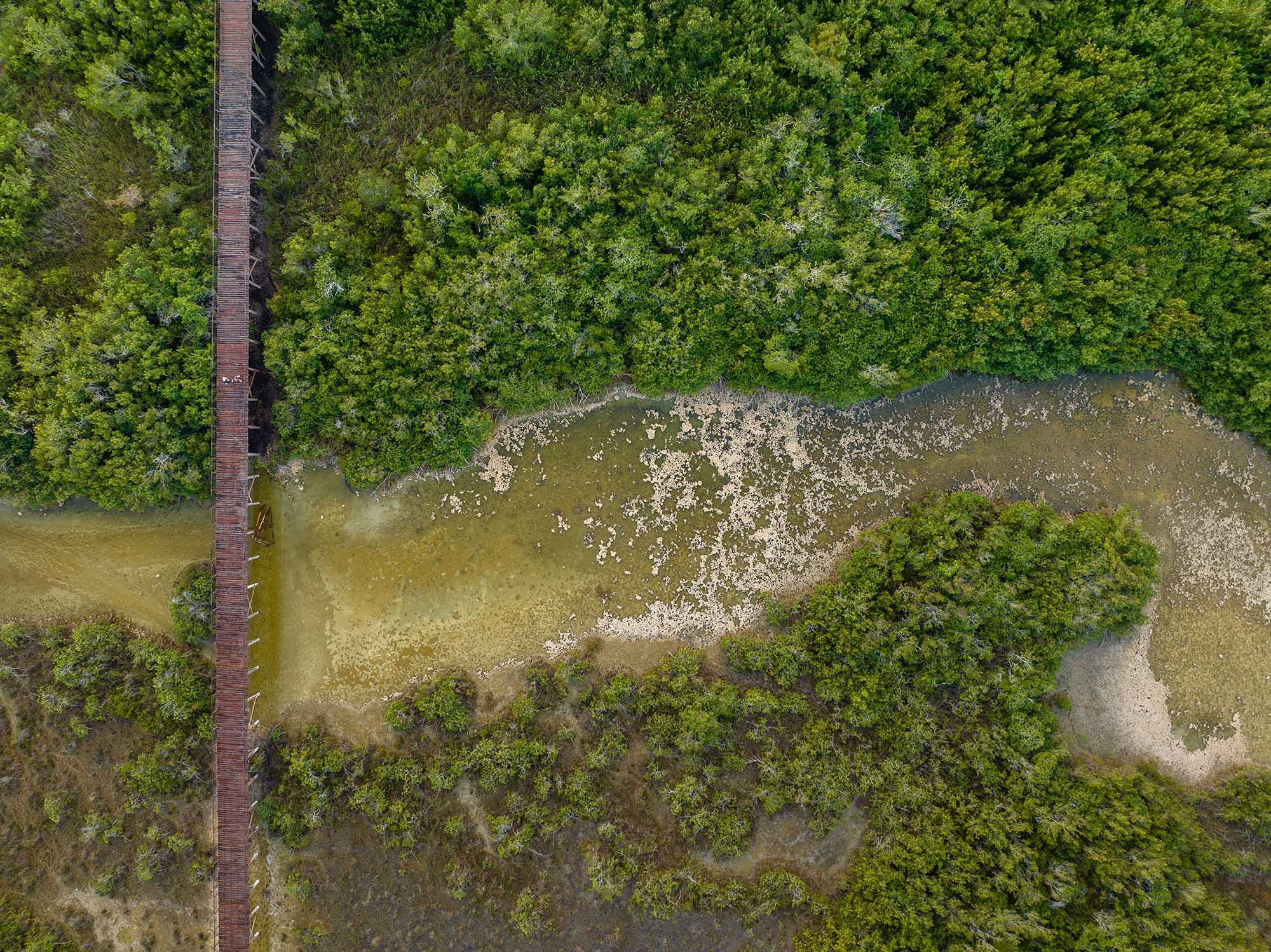 〈エコパーク・バカラル（Ecoparque Bacalar）〉設計：コレクティボc733（Colectivo c733）
