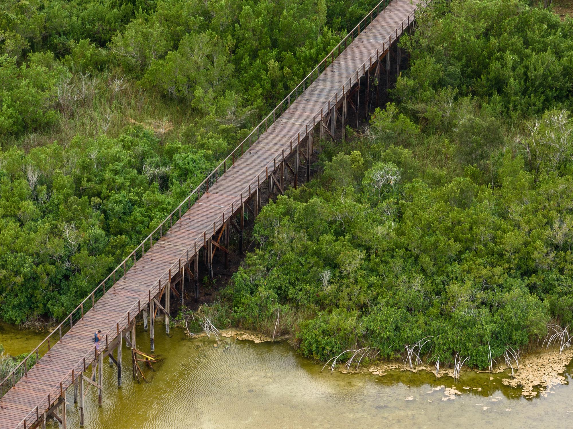 〈エコパーク・バカラル（Ecoparque Bacalar）〉設計：コレクティボc733（Colectivo c733）