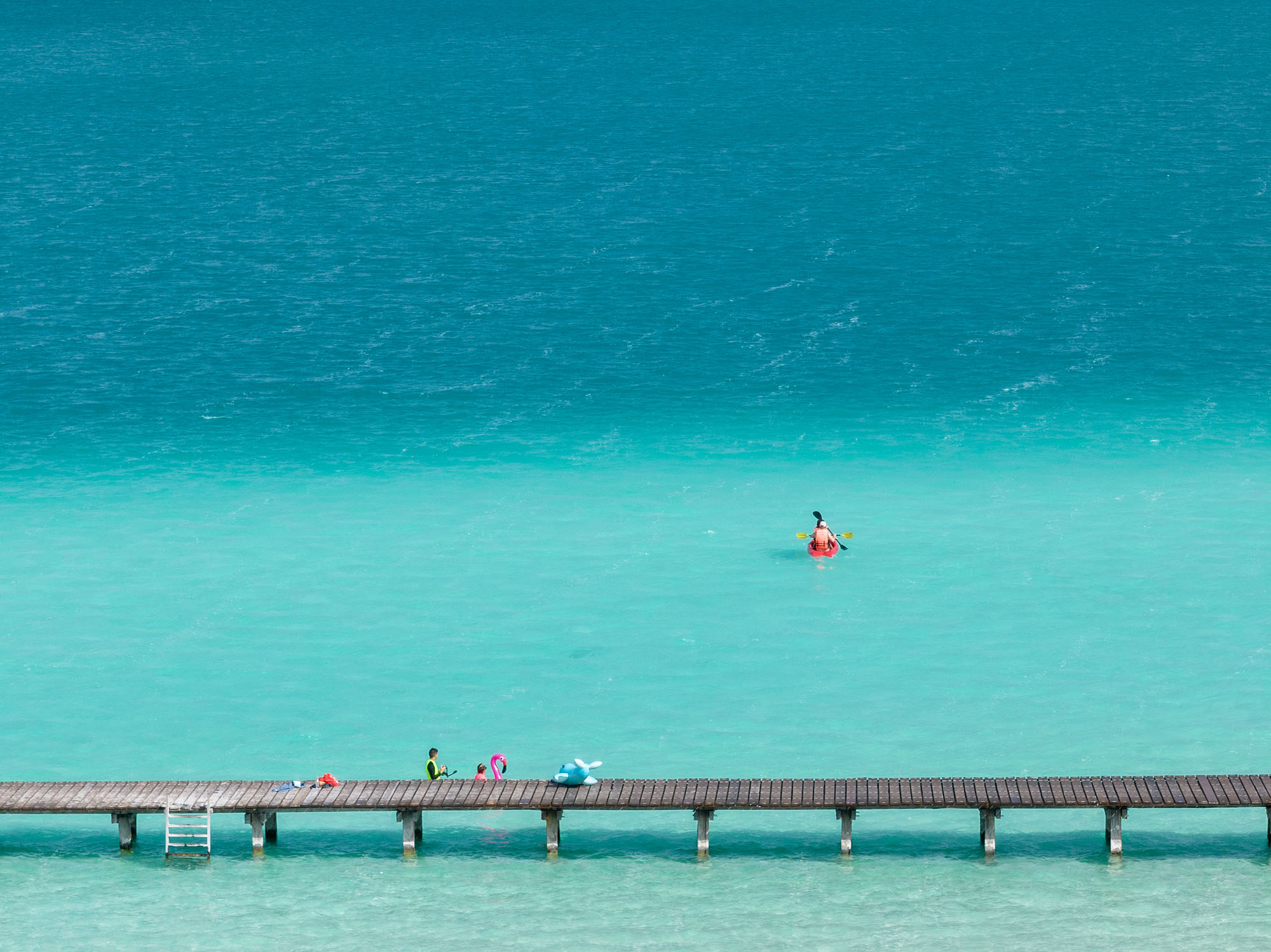〈エコパーク・バカラル（Ecoparque Bacalar）〉設計：コレクティボc733（Colectivo c733）