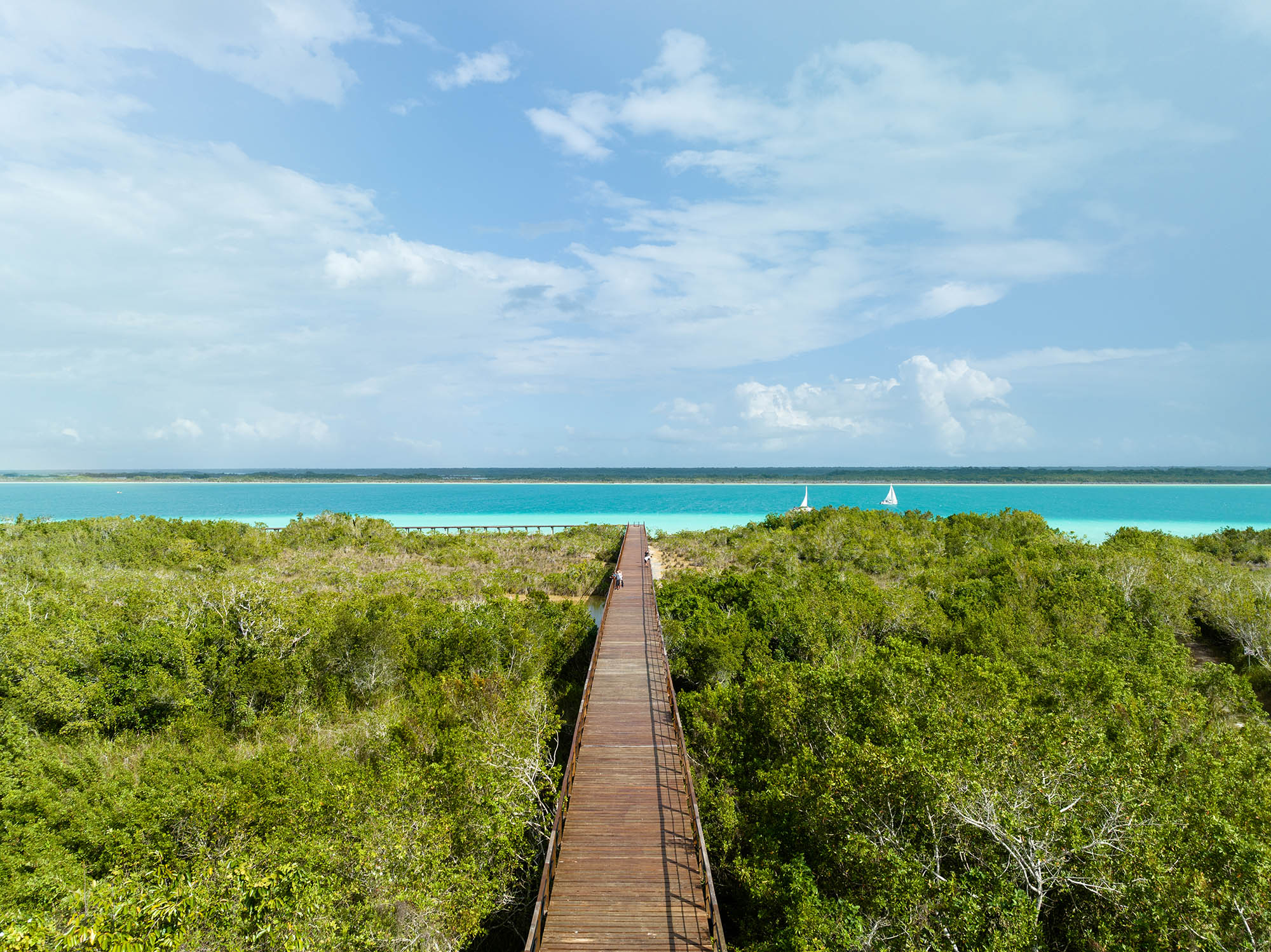 〈エコパーク・バカラル（Ecoparque Bacalar）〉設計：コレクティボc733（Colectivo c733）