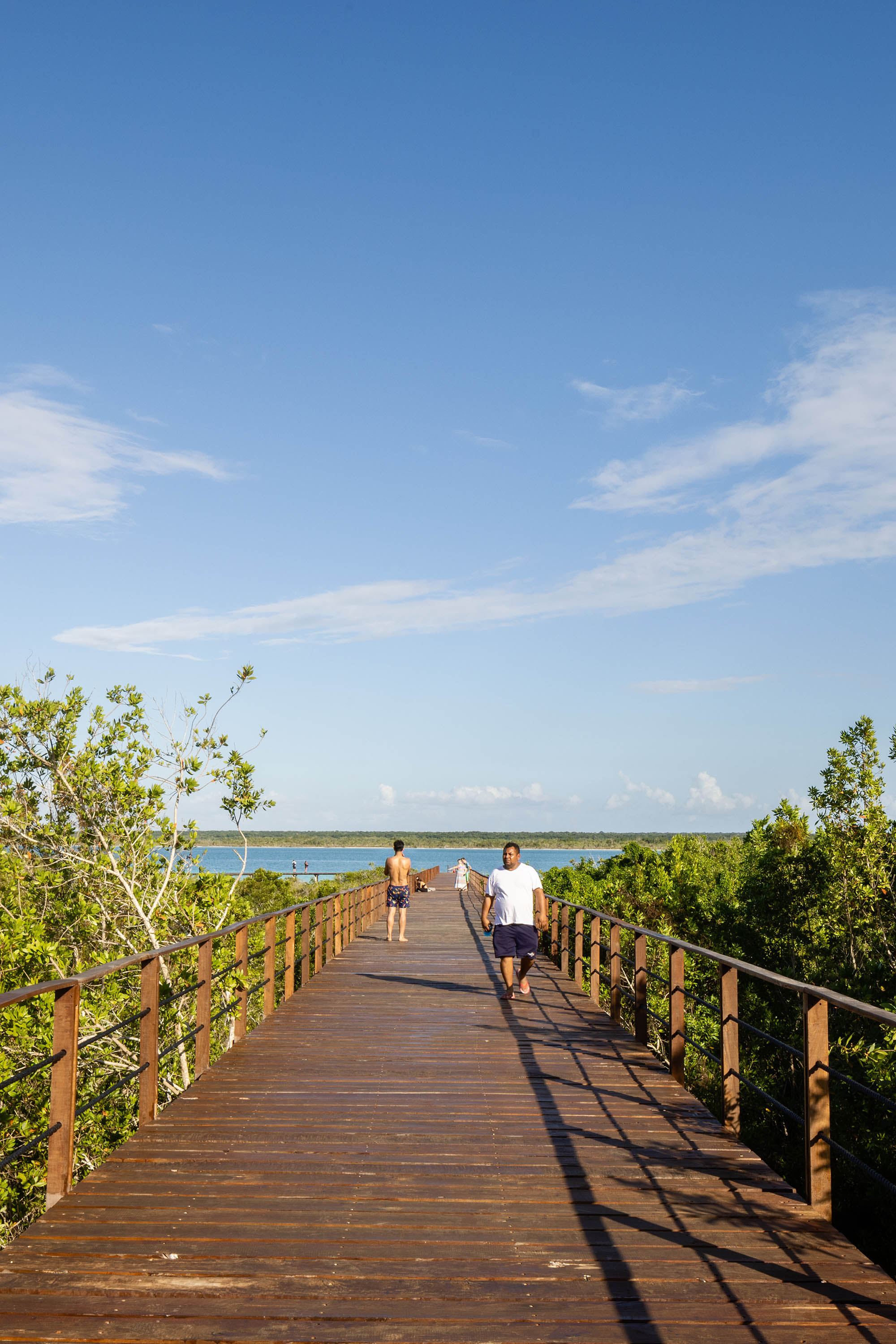〈エコパーク・バカラル（Ecoparque Bacalar）〉設計：コレクティボc733（Colectivo c733）