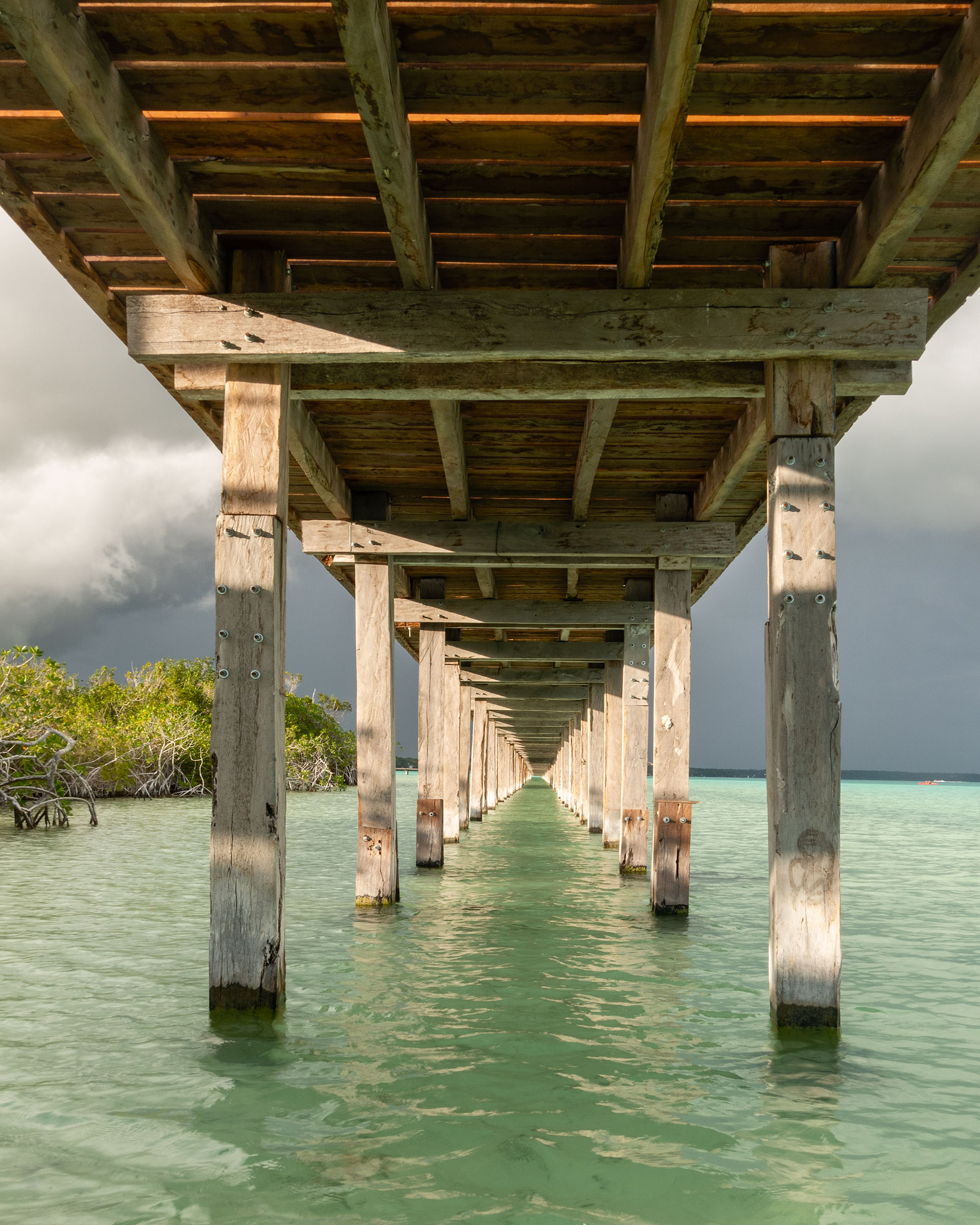 〈エコパーク・バカラル（Ecoparque Bacalar）〉設計：コレクティボc733（Colectivo c733）
