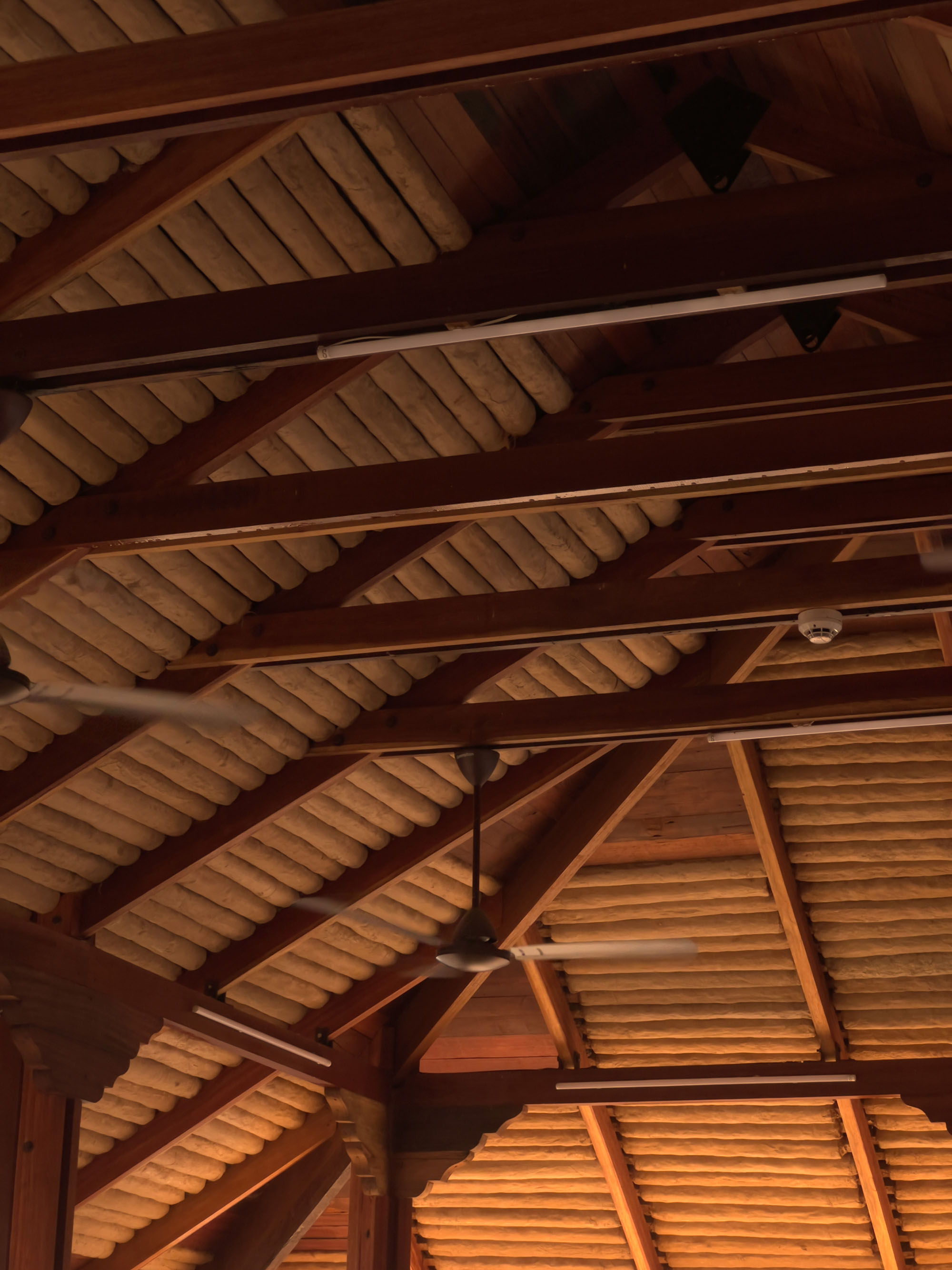 〈Factory Canteen〉設計：スタジオドット（Studio Dot）