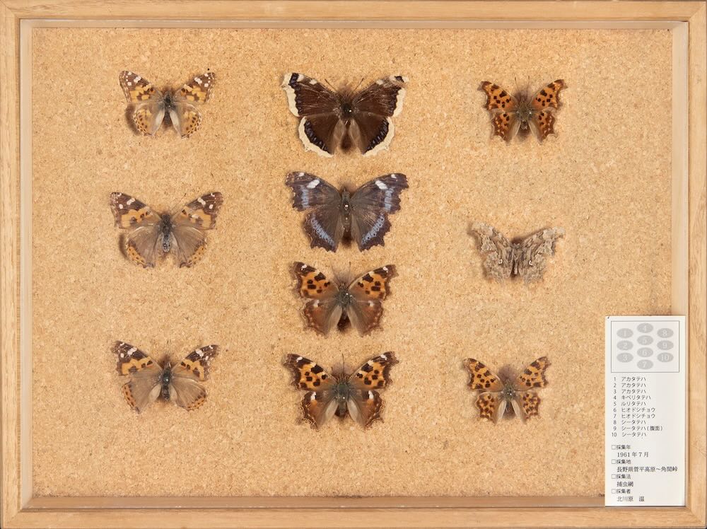 中村キース・ヘリング美術館「北川原温　時間と空間の星座」展