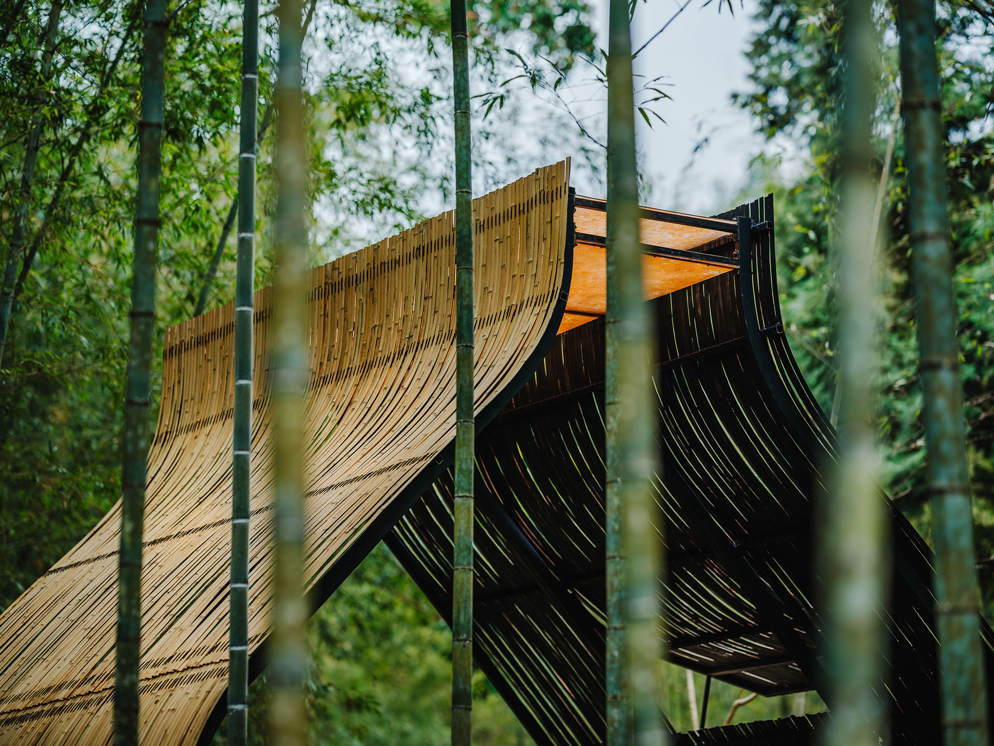 〈Bamboo Cabin Plan: Sticky Rice Dumpling〉設計：チェン・ツン・フェン（Cheng Tsung FENG）