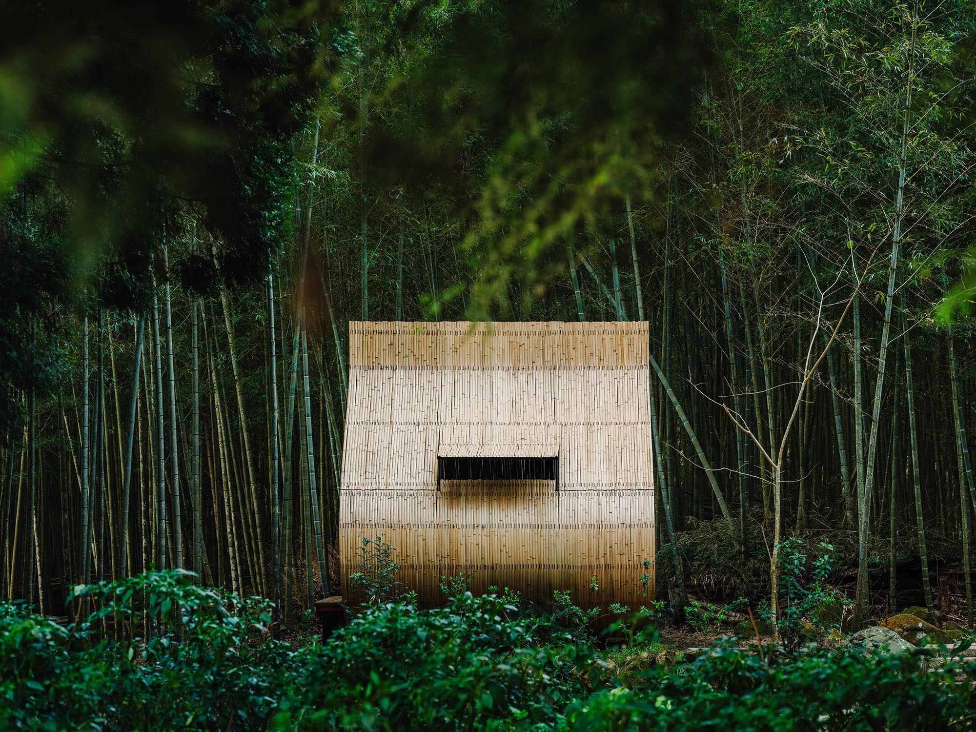 〈Bamboo Cabin Plan: Sticky Rice Dumpling〉設計：チェン・ツン・フェン（Cheng Tsung FENG）
