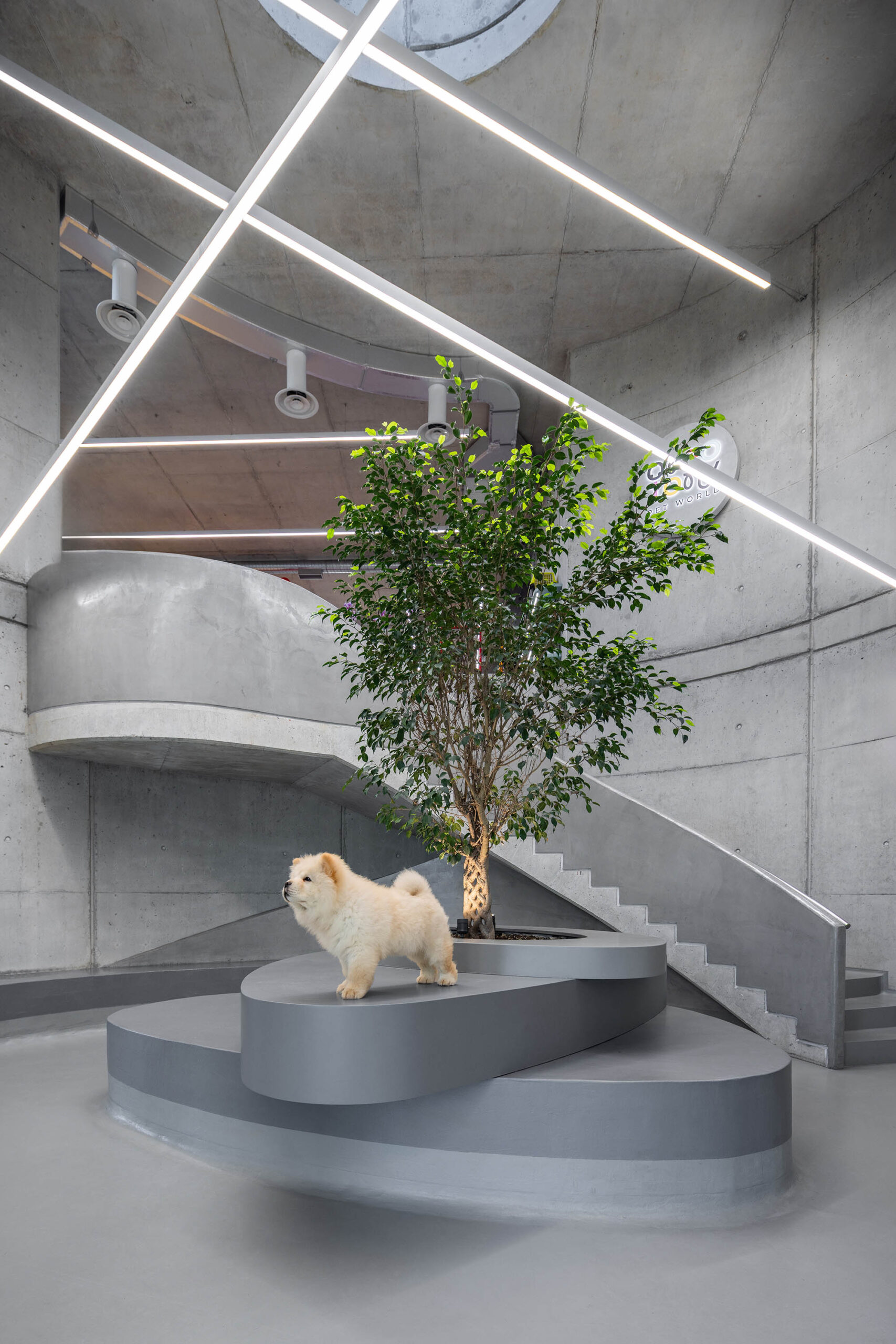 〈VET HOSPITAL & PET HOTEL〉Davide Macullo Architects