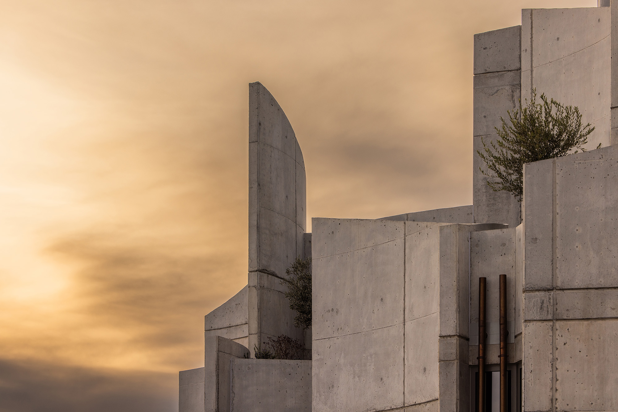 〈VET HOSPITAL & PET HOTEL〉Davide Macullo Architects