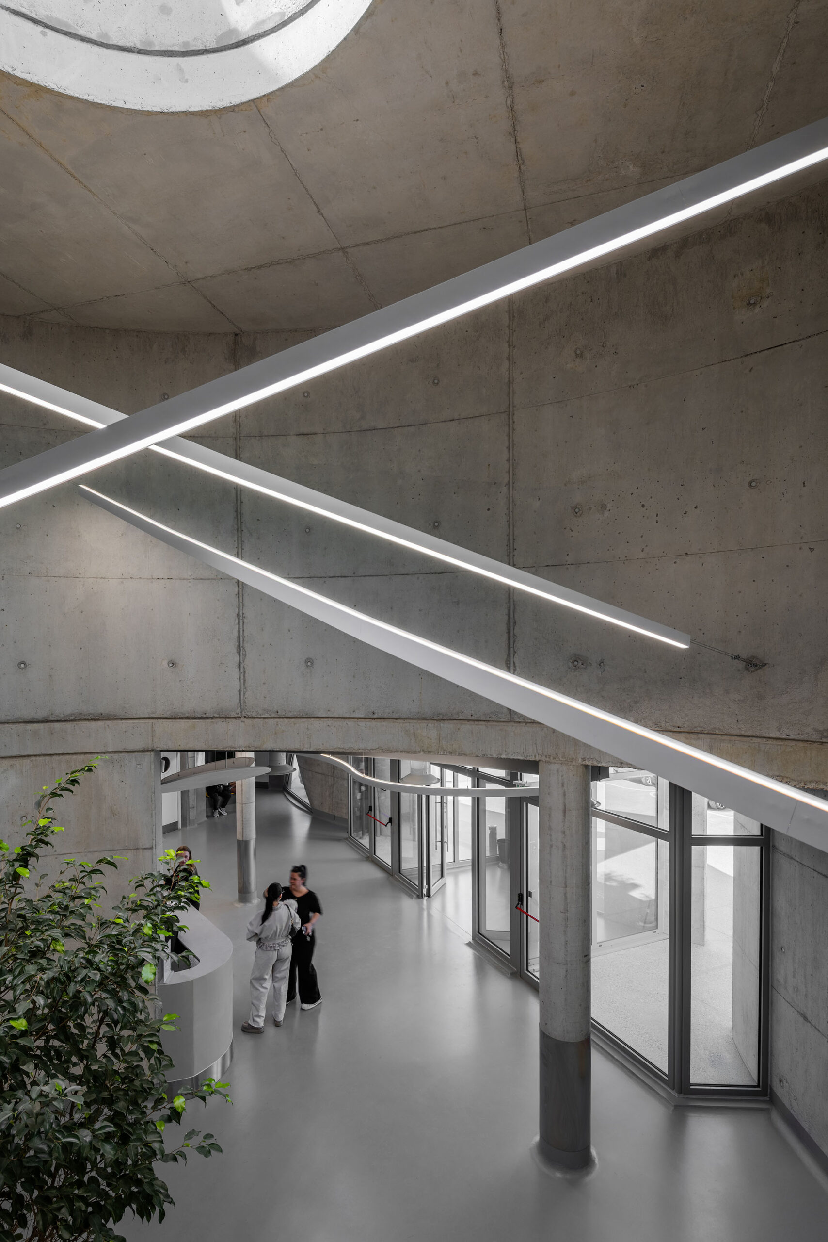 〈VET HOSPITAL & PET HOTEL〉Davide Macullo Architects