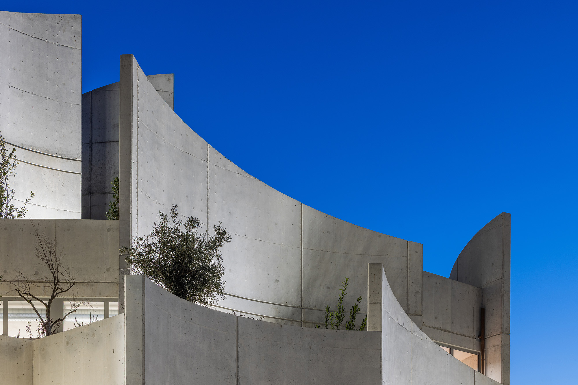 〈VET HOSPITAL & PET HOTEL〉Davide Macullo Architects