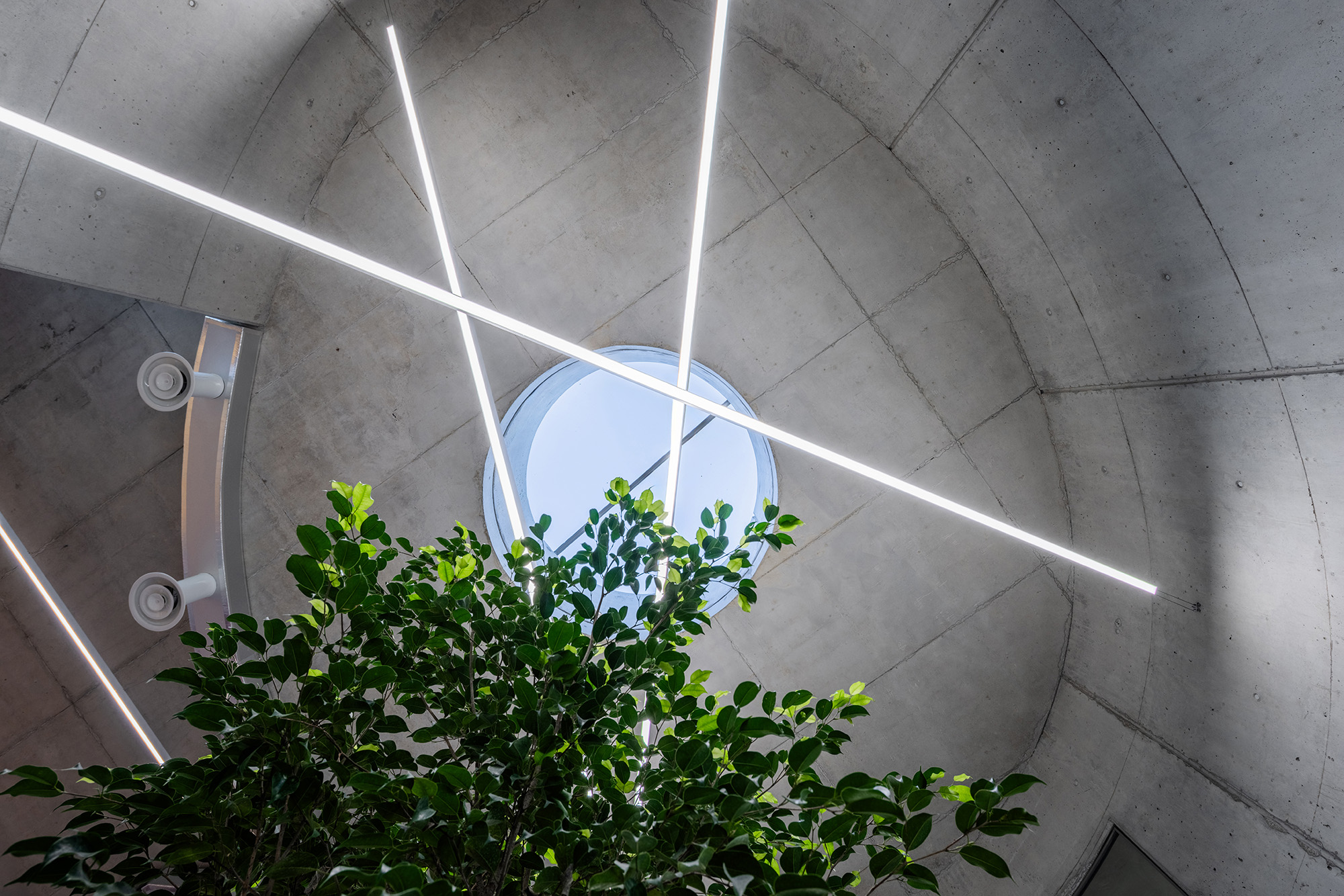 〈VET HOSPITAL & PET HOTEL〉Davide Macullo Architects