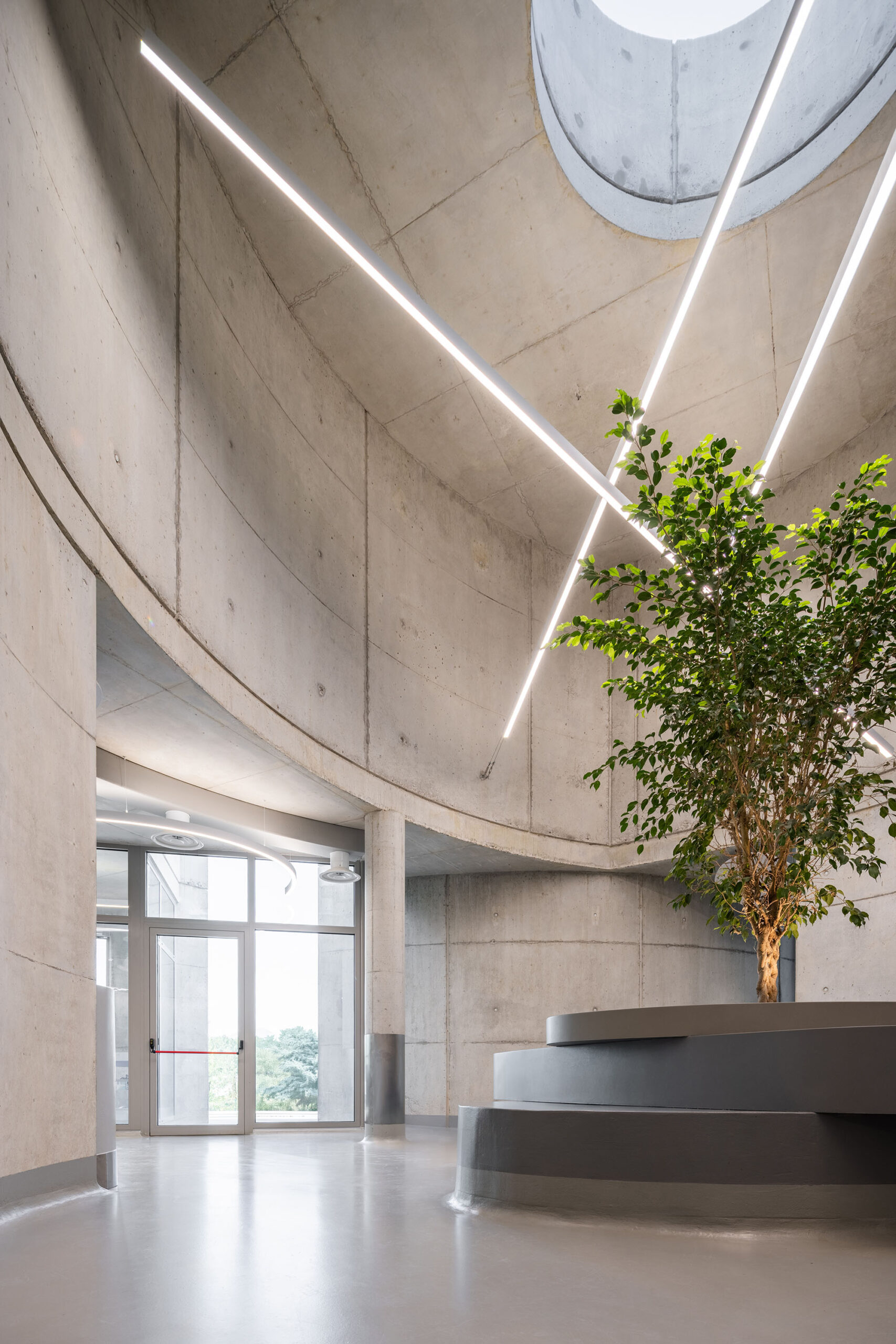 〈VET HOSPITAL & PET HOTEL〉Davide Macullo Architects