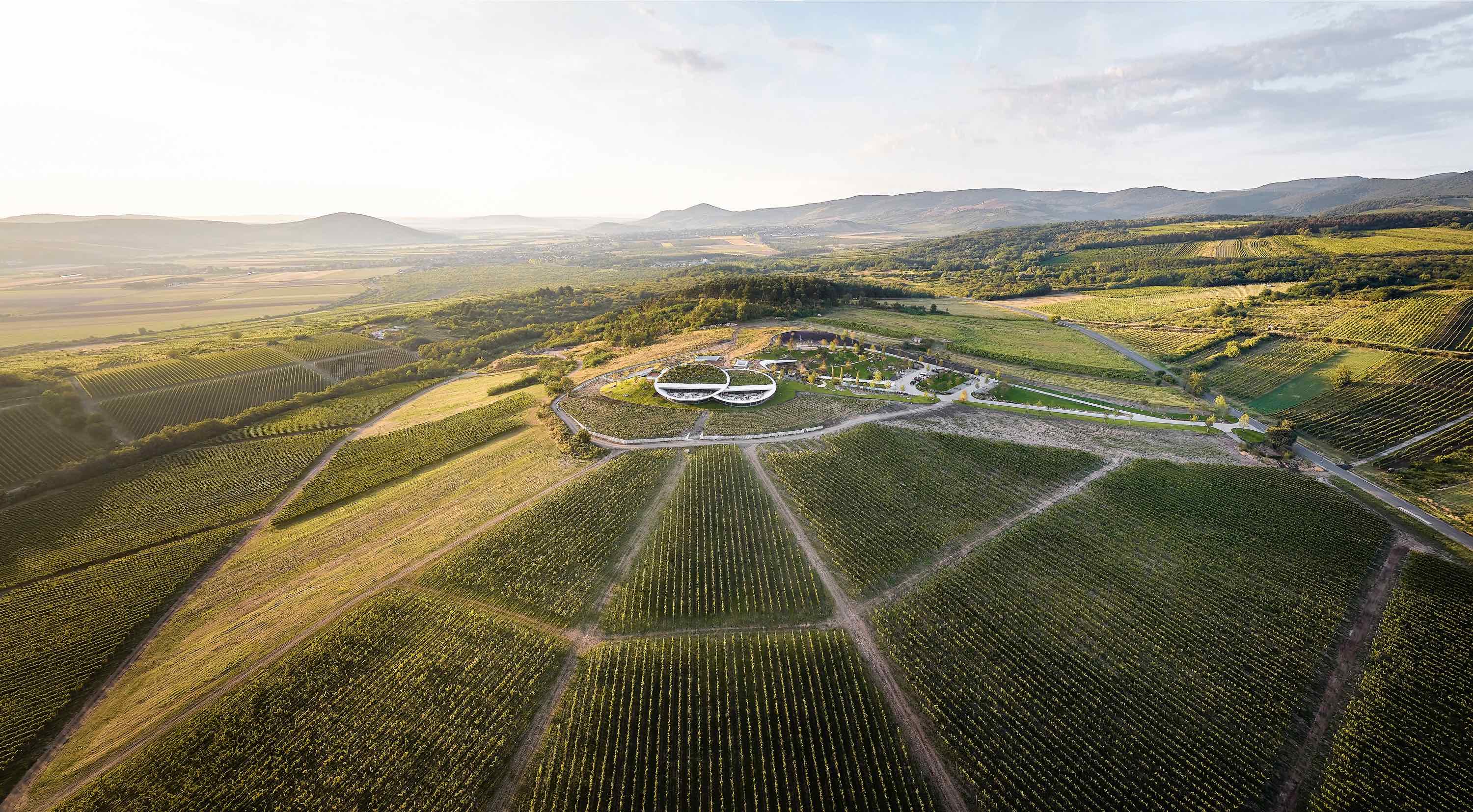 〈サウシュカ・トカイ（Sauska Tokaj）〉設計：BORD建築スタジオ（BORD Architectural Studio）