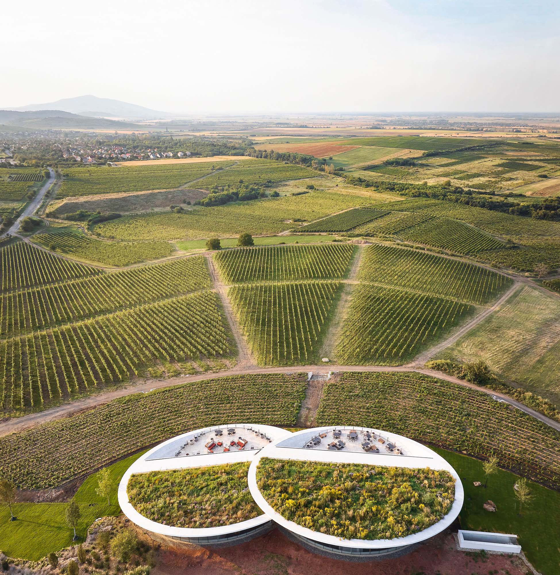 〈サウシュカ・トカイ（Sauska Tokaj）〉設計：BORD建築スタジオ（BORD Architectural Studio）