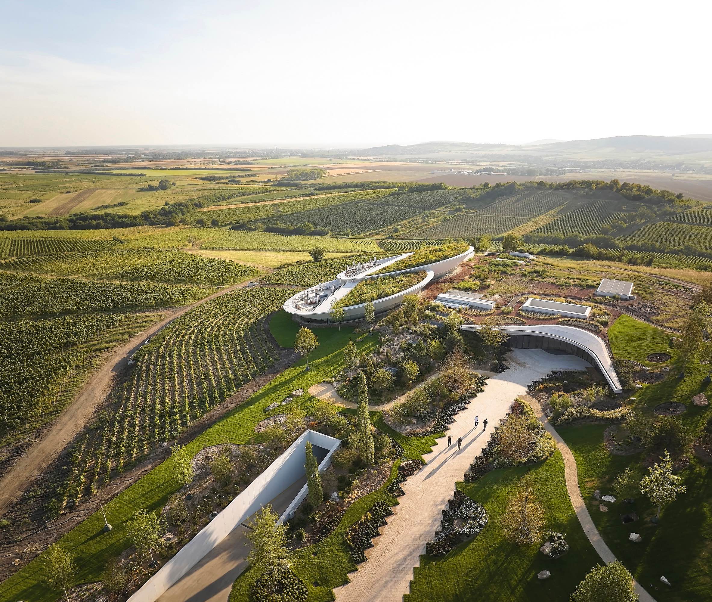 〈サウシュカ・トカイ（Sauska Tokaj）〉設計：BORD建築スタジオ（BORD Architectural Studio）