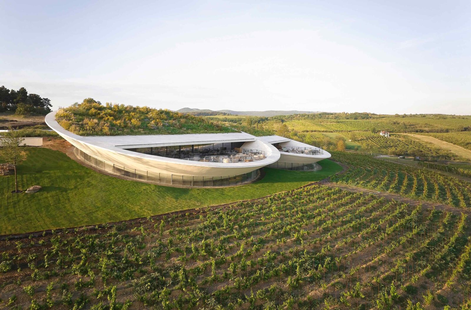 ブドウ畑に浮かぶレンズ状のワイナリー〈サウシュカ・トカイ〉BORD建築スタジオ、ハンガリー