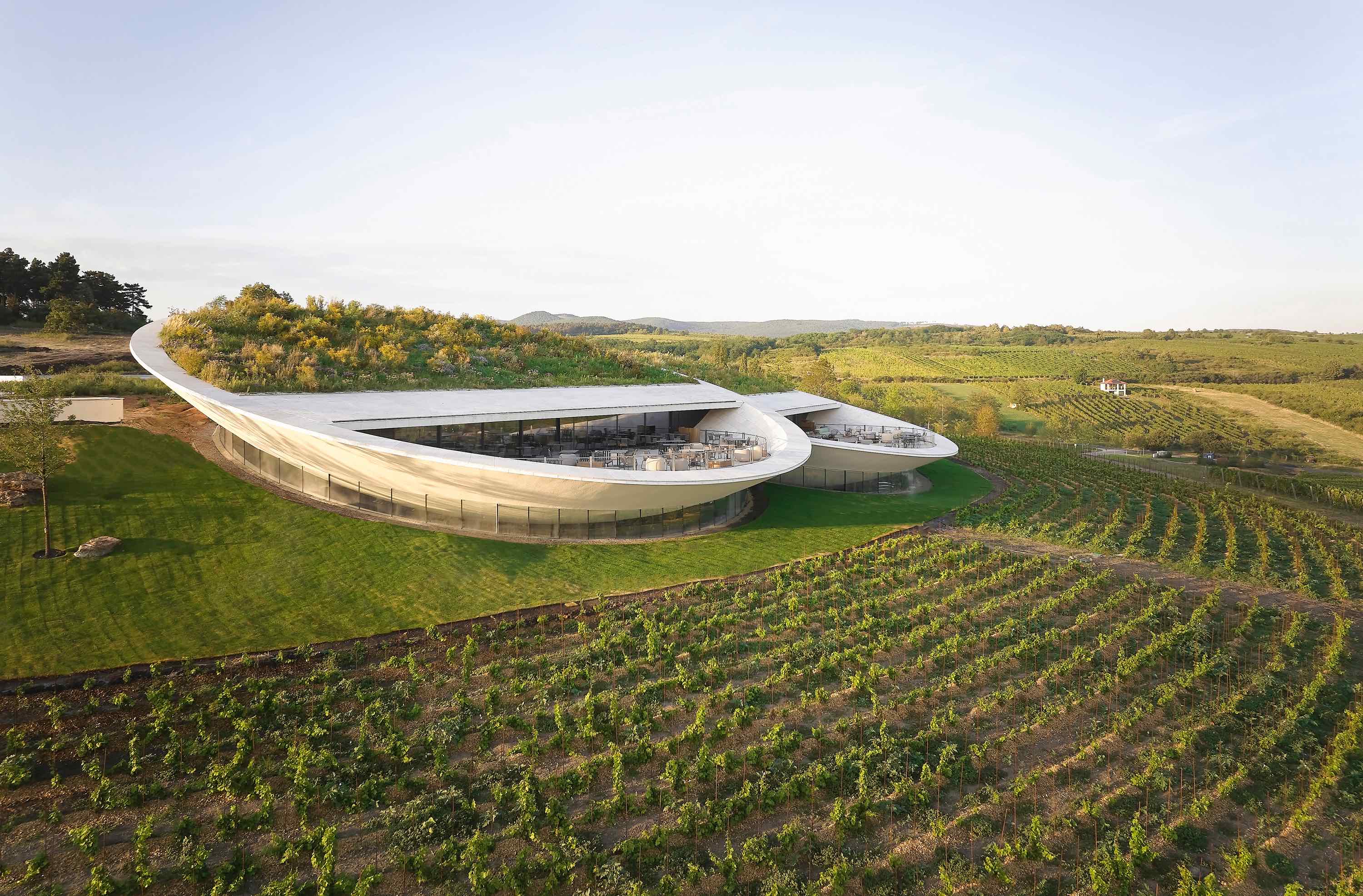 〈サウシュカ・トカイ（Sauska Tokaj）〉設計：BORD建築スタジオ（BORD Architectural Studio）