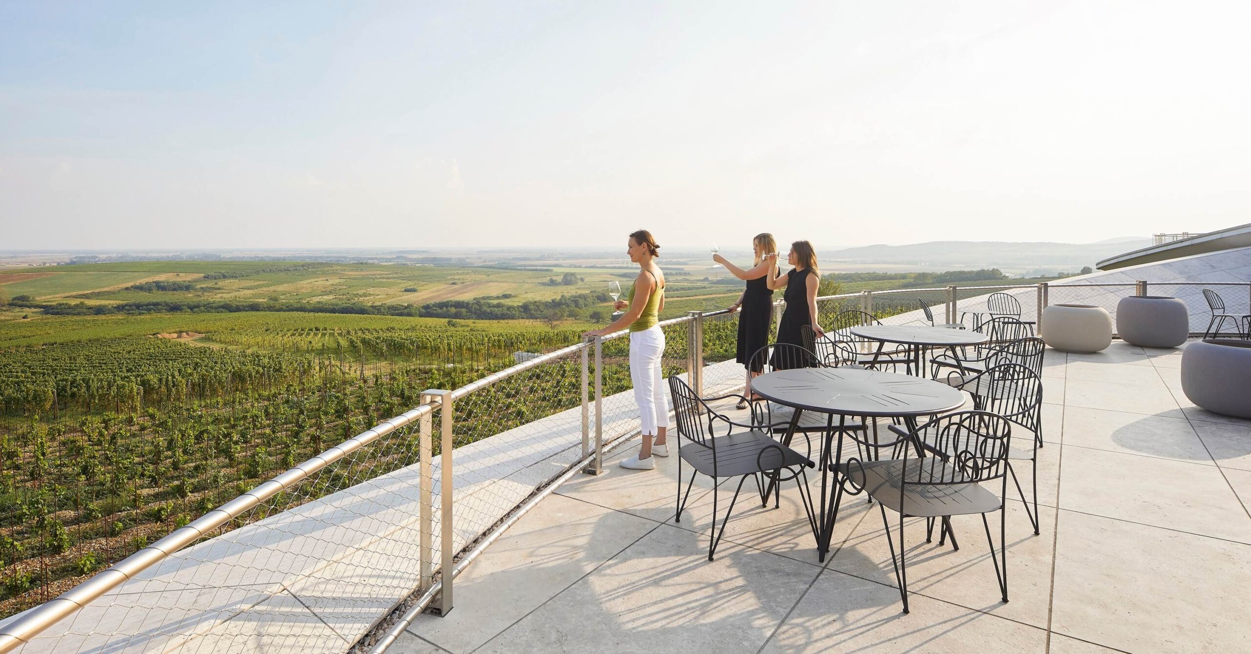 〈サウシュカ・トカイ（Sauska Tokaj）〉設計：BORD建築スタジオ（BORD Architectural Studio）