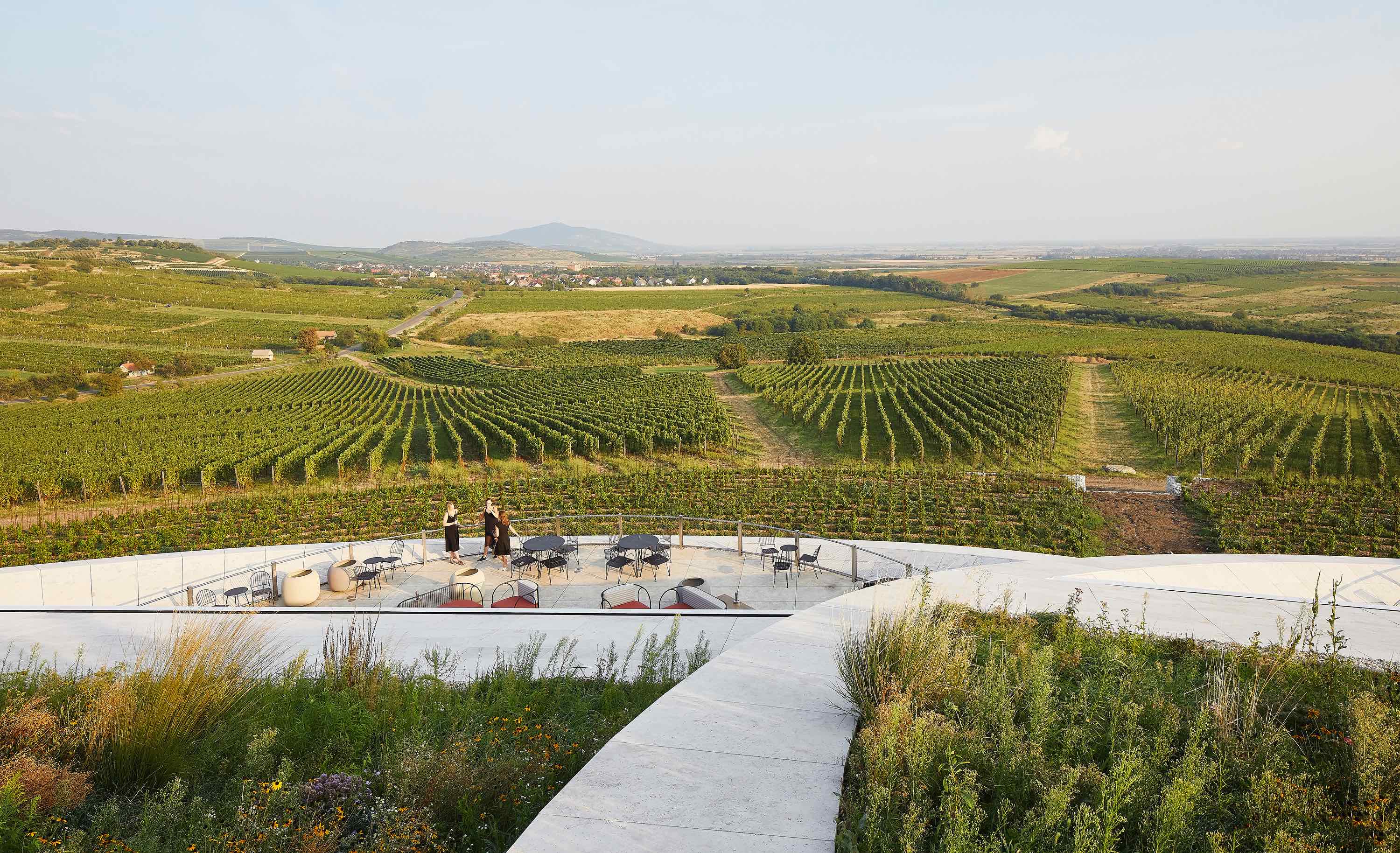 〈サウシュカ・トカイ（Sauska Tokaj）〉設計：BORD建築スタジオ（BORD Architectural Studio）