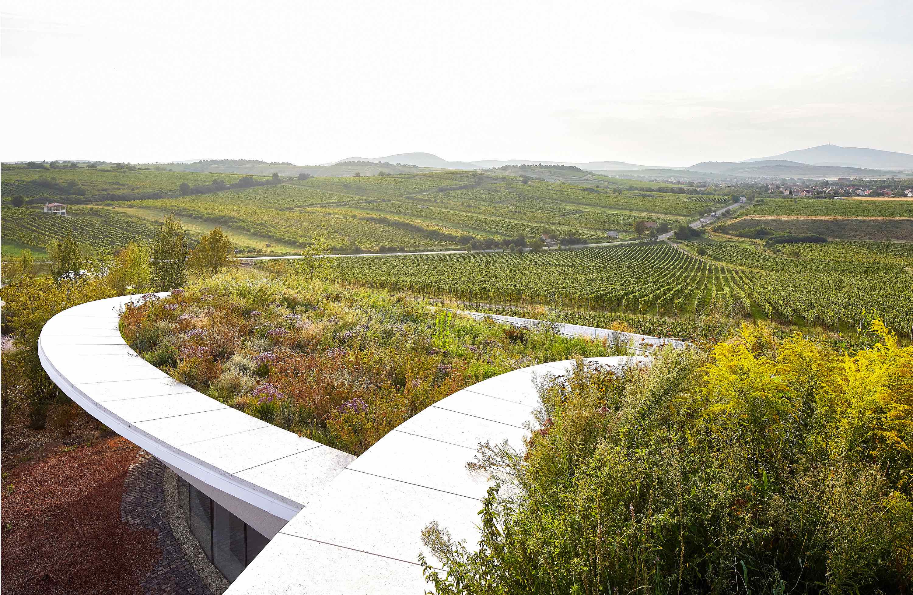 〈サウシュカ・トカイ（Sauska Tokaj）〉設計：BORD建築スタジオ（BORD Architectural Studio）
