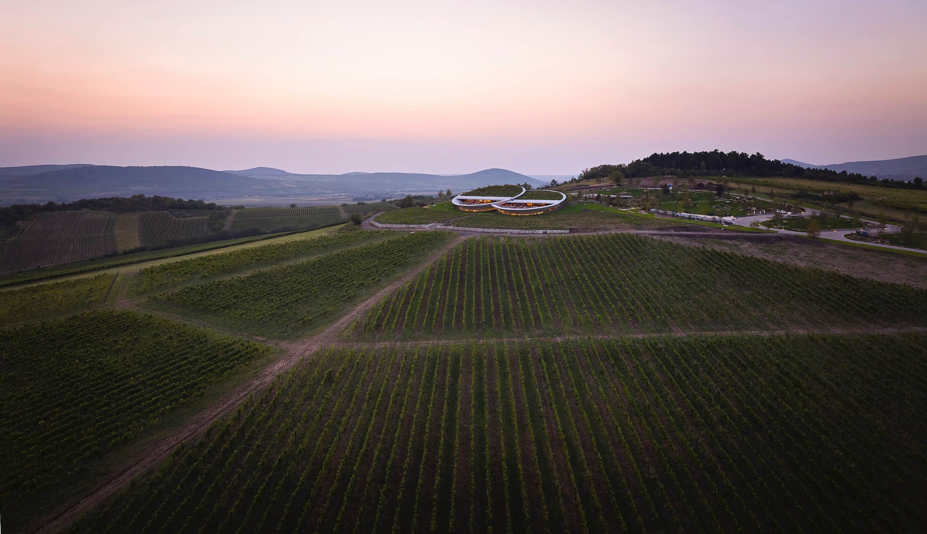 〈サウシュカ・トカイ（Sauska Tokaj）〉設計：BORD建築スタジオ（BORD Architectural Studio）