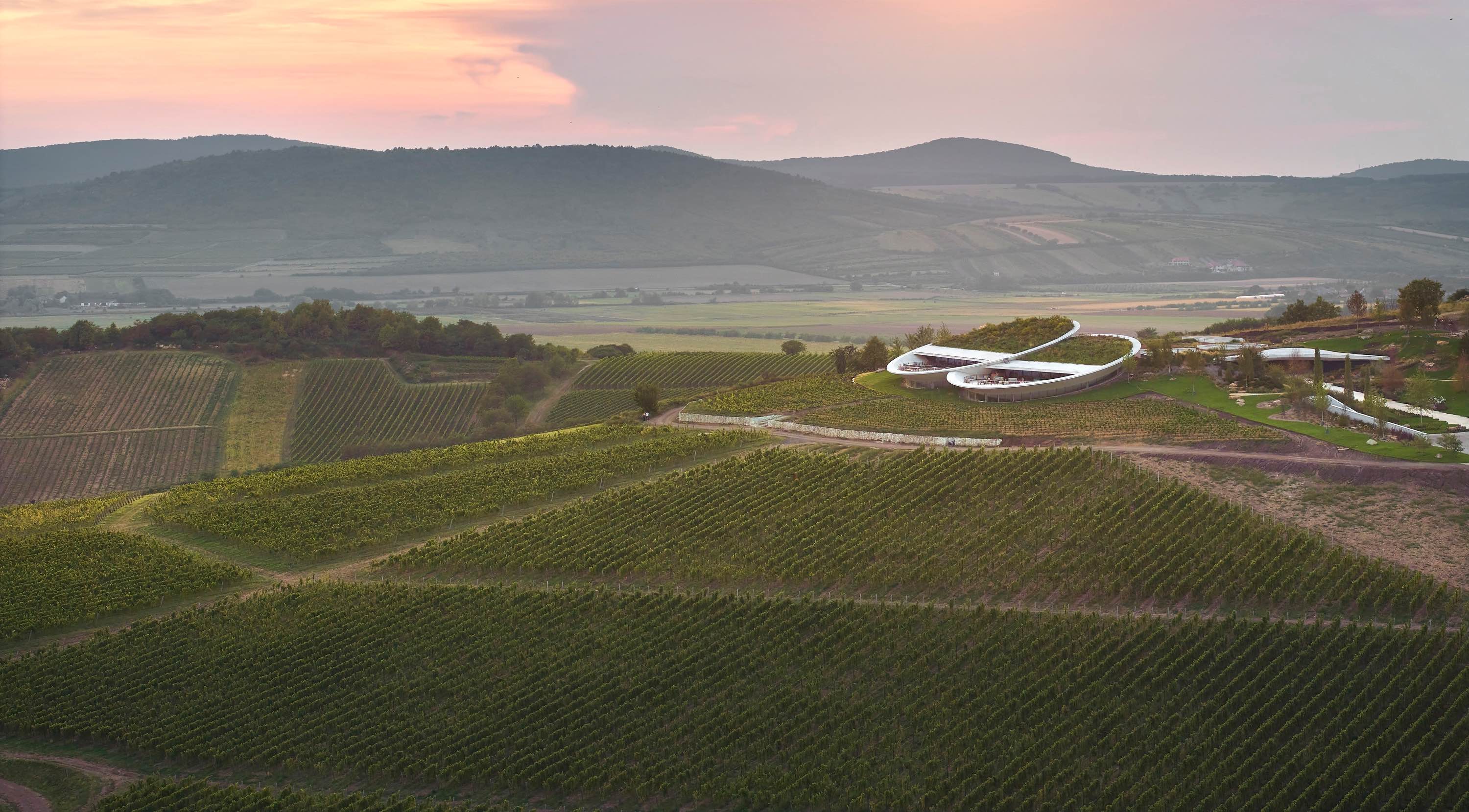 〈サウシュカ・トカイ（Sauska Tokaj）〉設計：BORD建築スタジオ（BORD Architectural Studio）