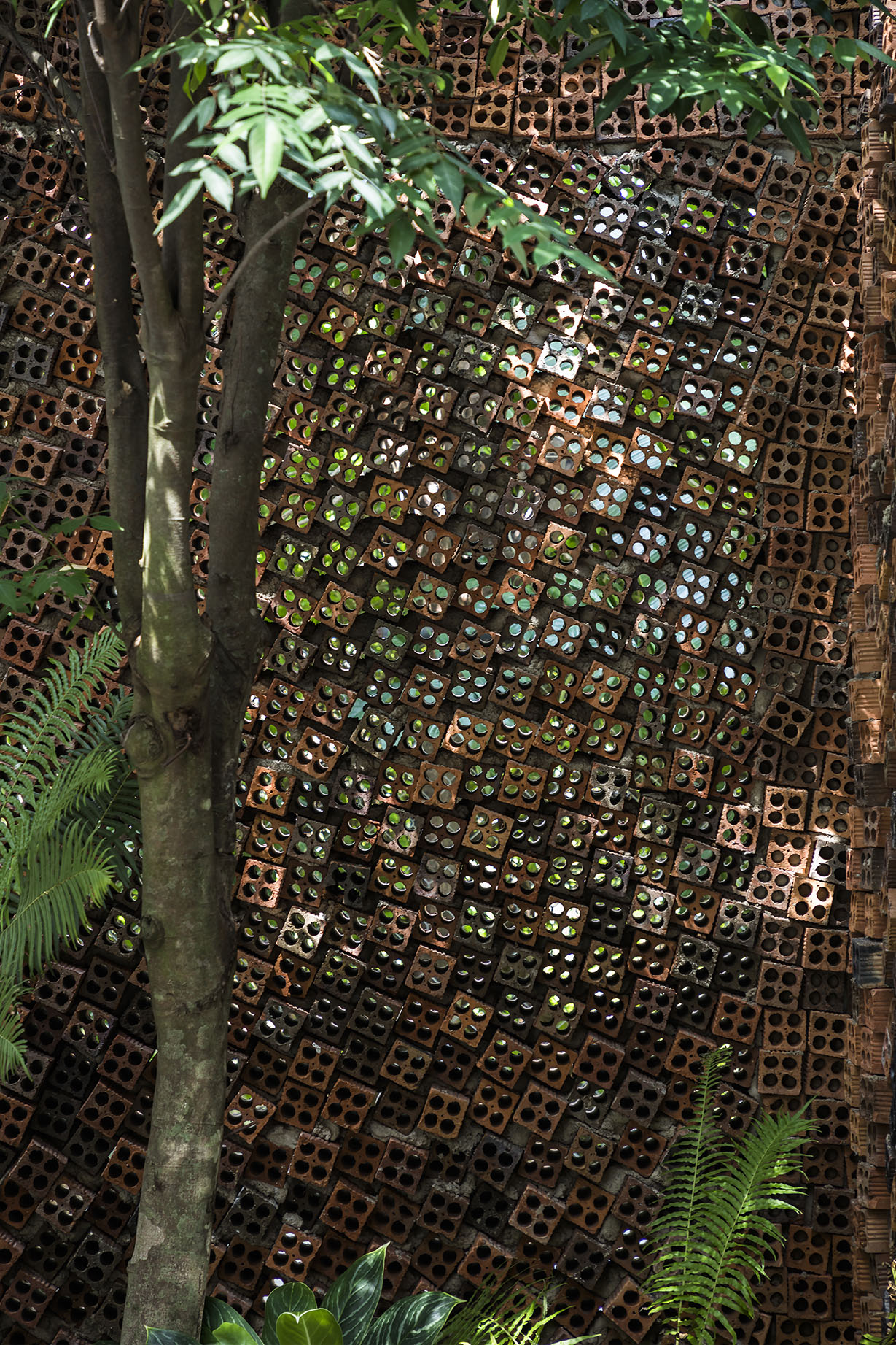 〈Wall house〉設計：CTA（Creative Architects）