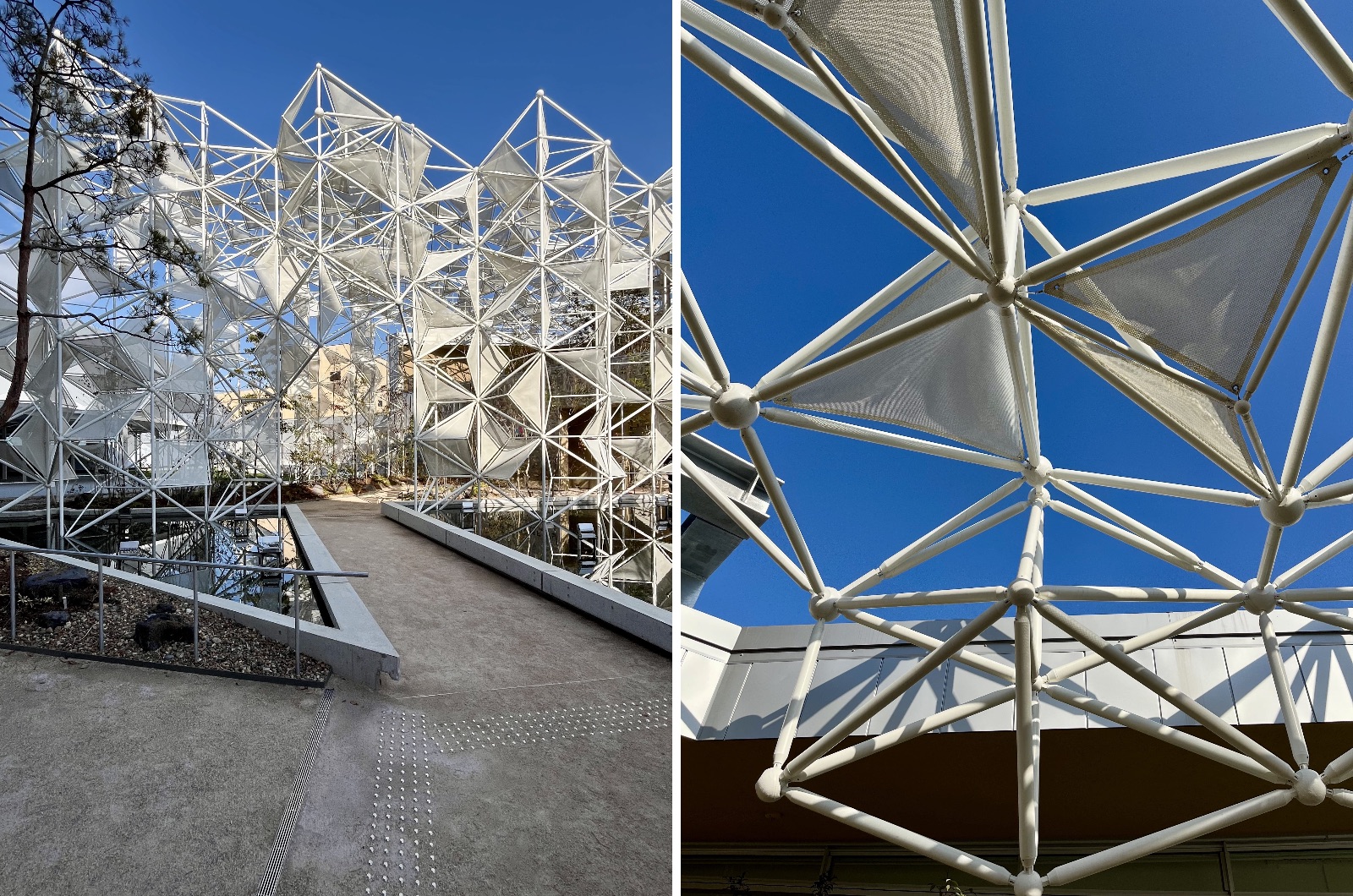 ウーマンズ パビリオン