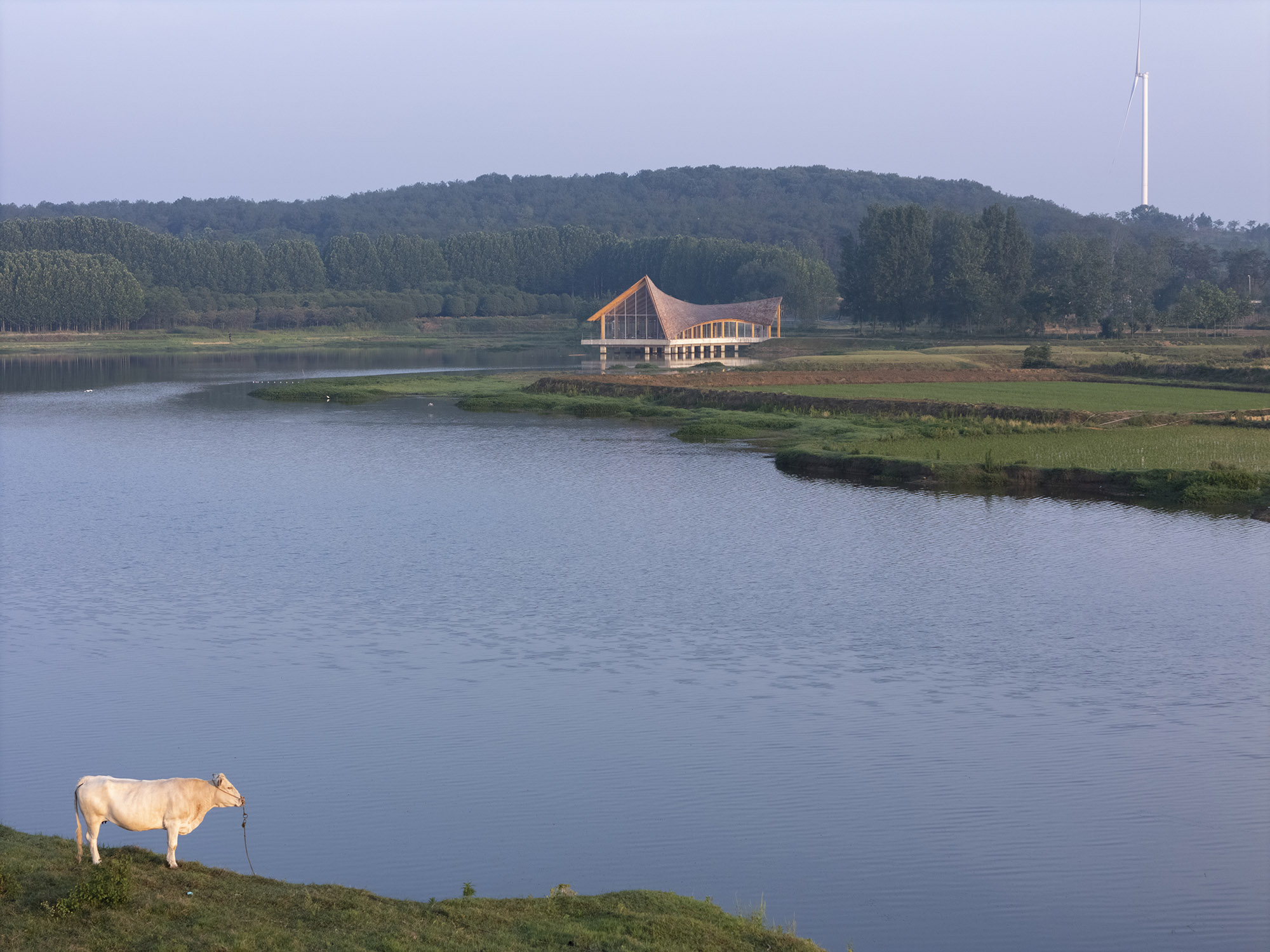 〈ドラフトウッド・ビレッジセンター（The Driftwood Village Center）〉プライマリー・アーキテクツ（Primary Architects）