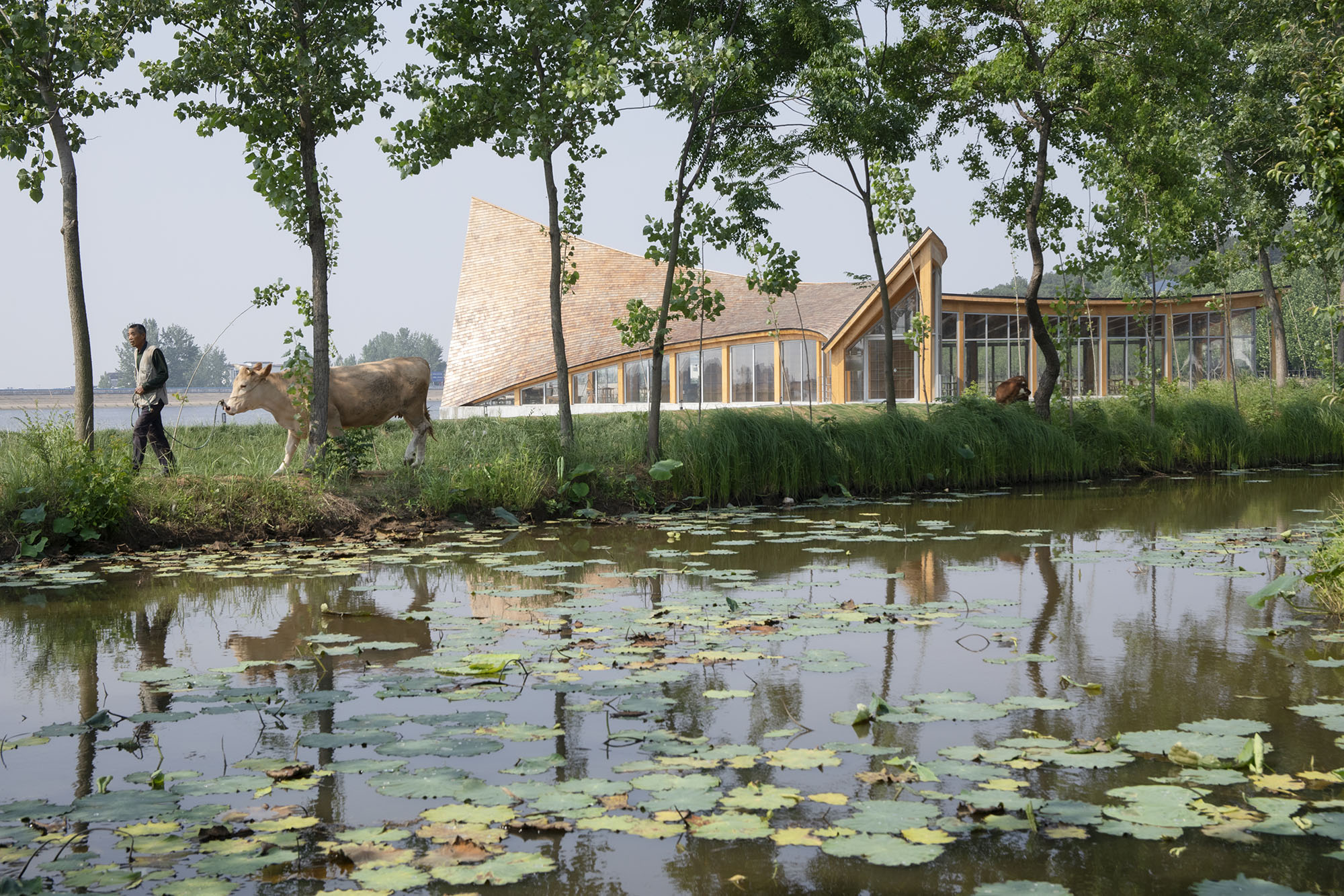 〈ドラフトウッド・ビレッジセンター（The Driftwood Village Center）〉プライマリー・アーキテクツ（Primary Architects）