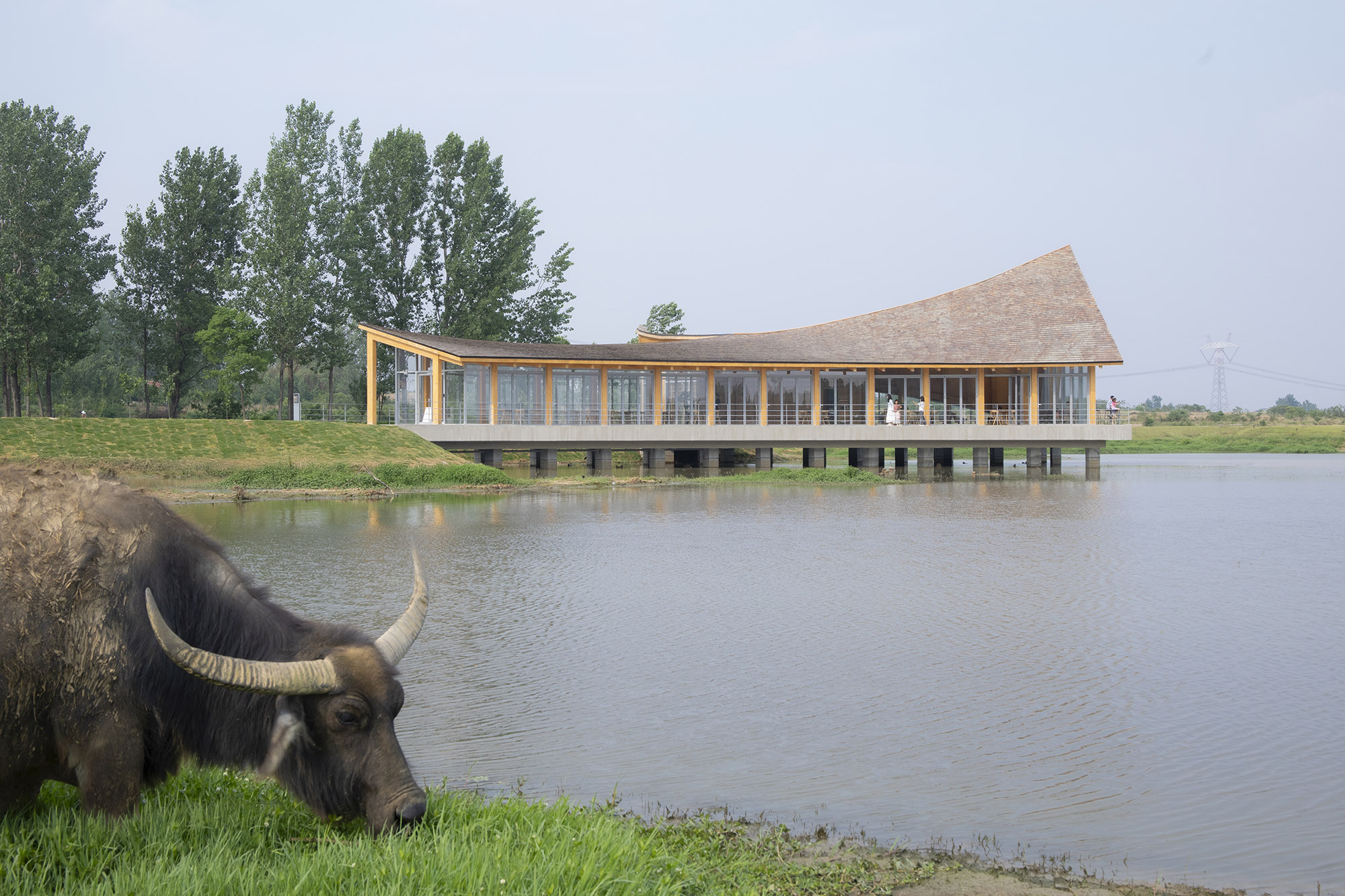 〈ドラフトウッド・ビレッジセンター（The Driftwood Village Center）〉プライマリー・アーキテクツ（Primary Architects）