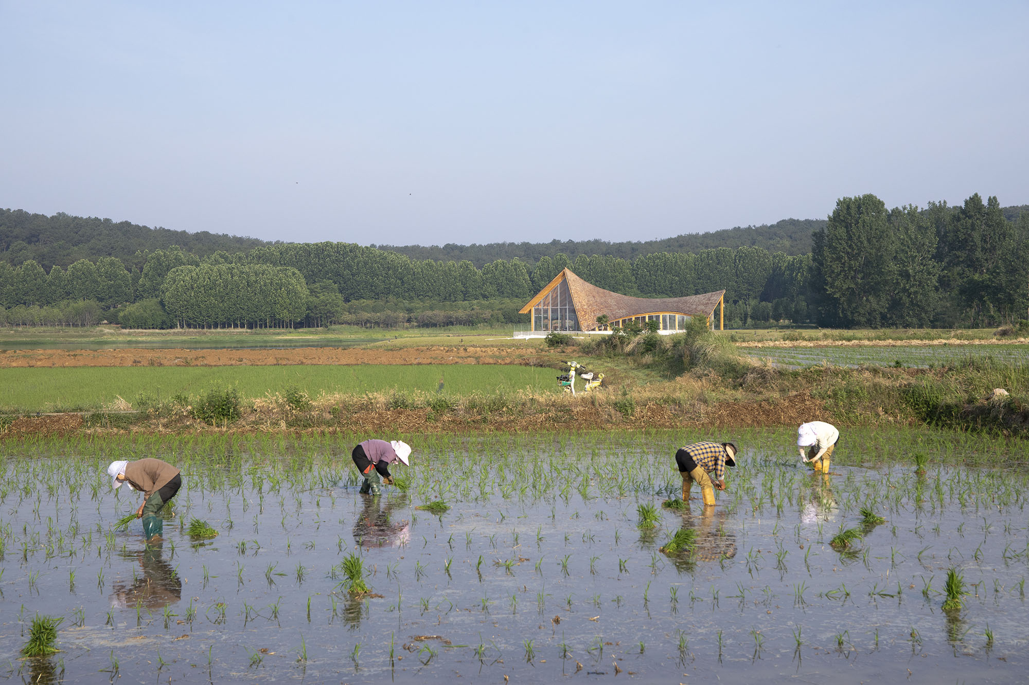 〈ドラフトウッド・ビレッジセンター（The Driftwood Village Center）〉プライマリー・アーキテクツ（Primary Architects）