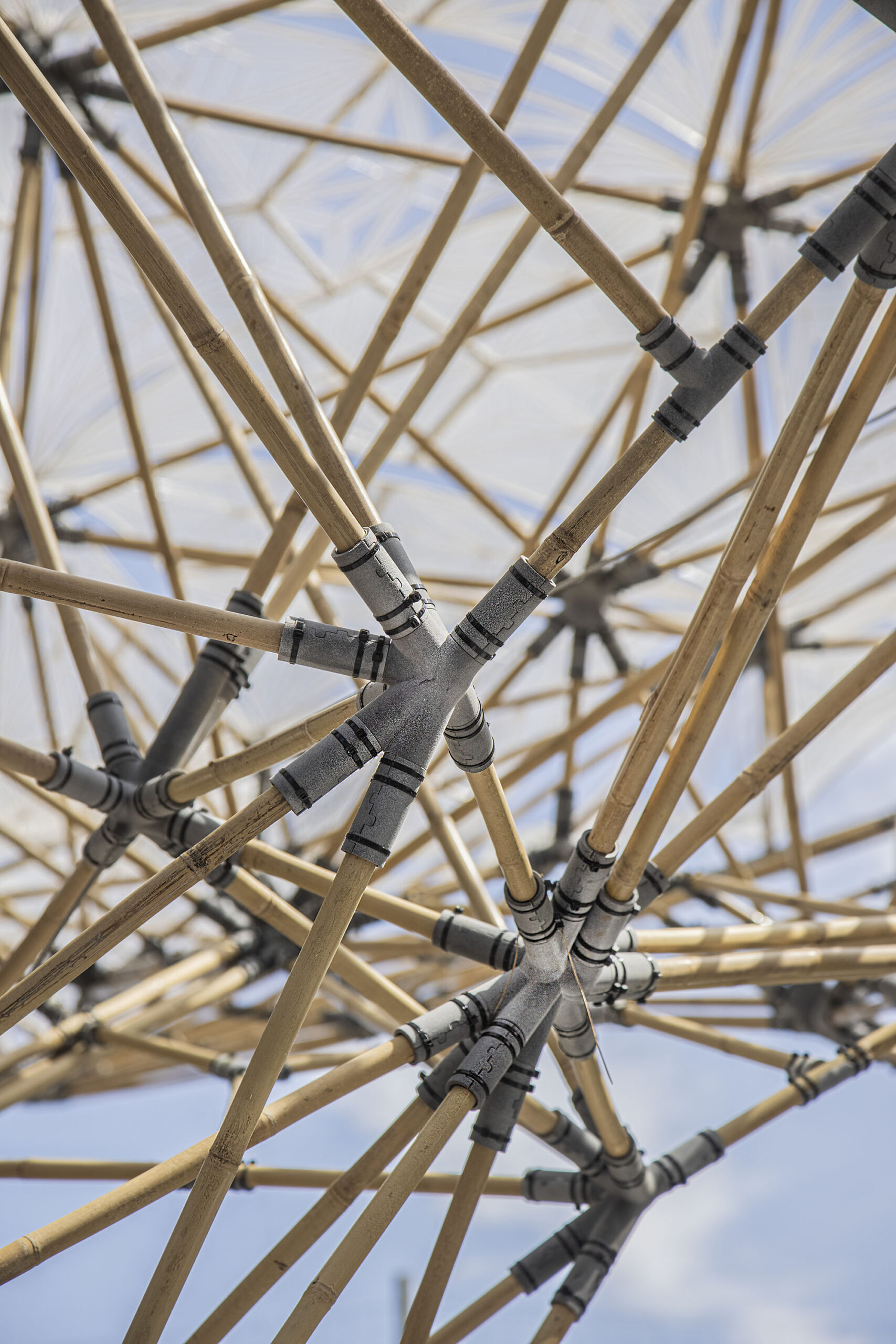 〈デジタル・バンブー（Digital Bamboo）〉デジタル・ビルディング・テクノロジーズ（Digital Building Technologies）