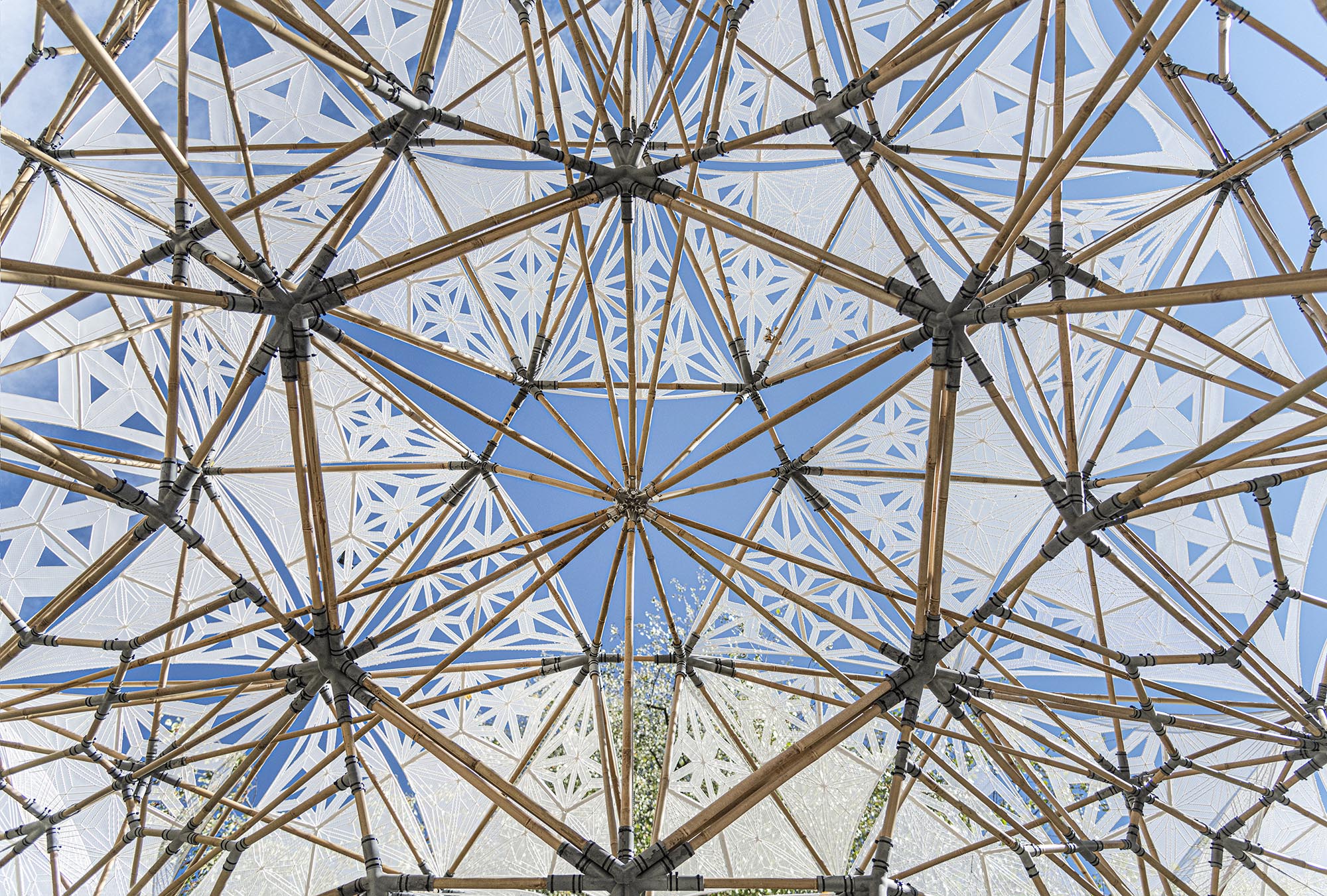 〈デジタル・バンブー（Digital Bamboo）〉デジタル・ビルディング・テクノロジーズ（Digital Building Technologies）