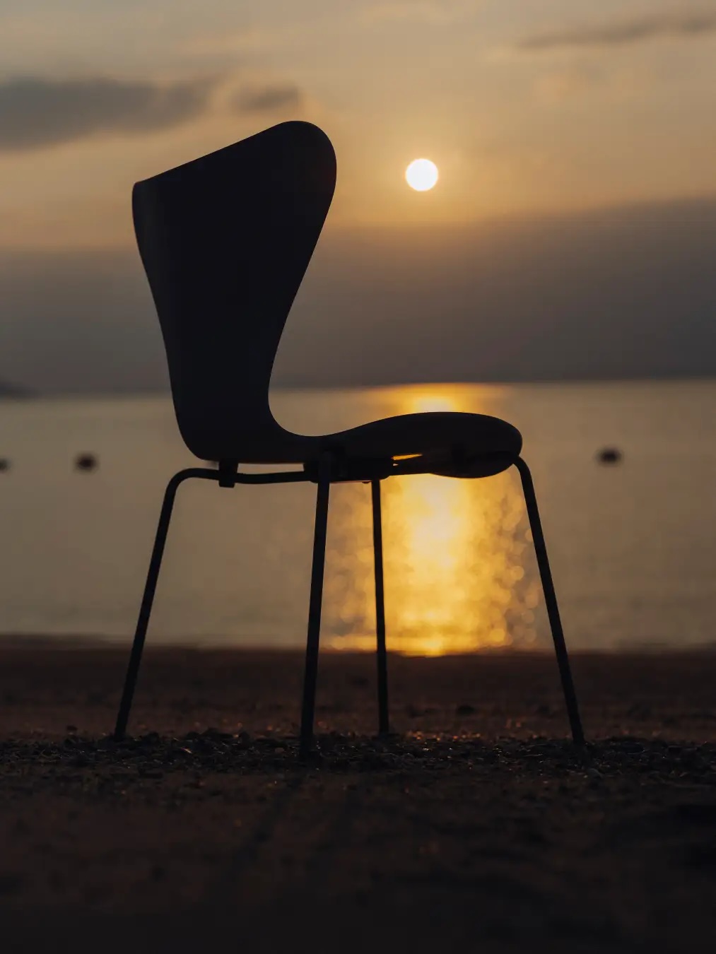 フリッツ・ハンセン庵 2025