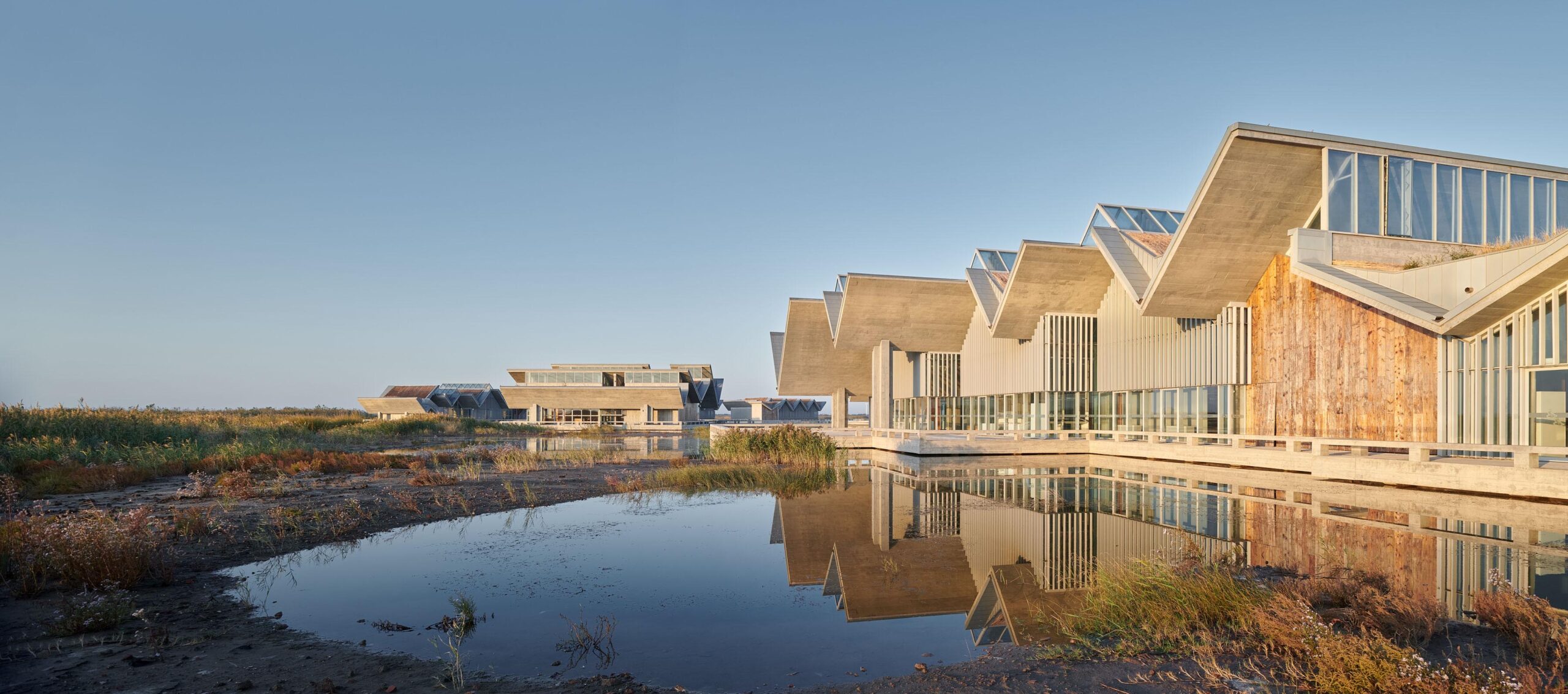 〈湿地研究教育センター（Wetland Research and Education Center）〉Atelier Z+
