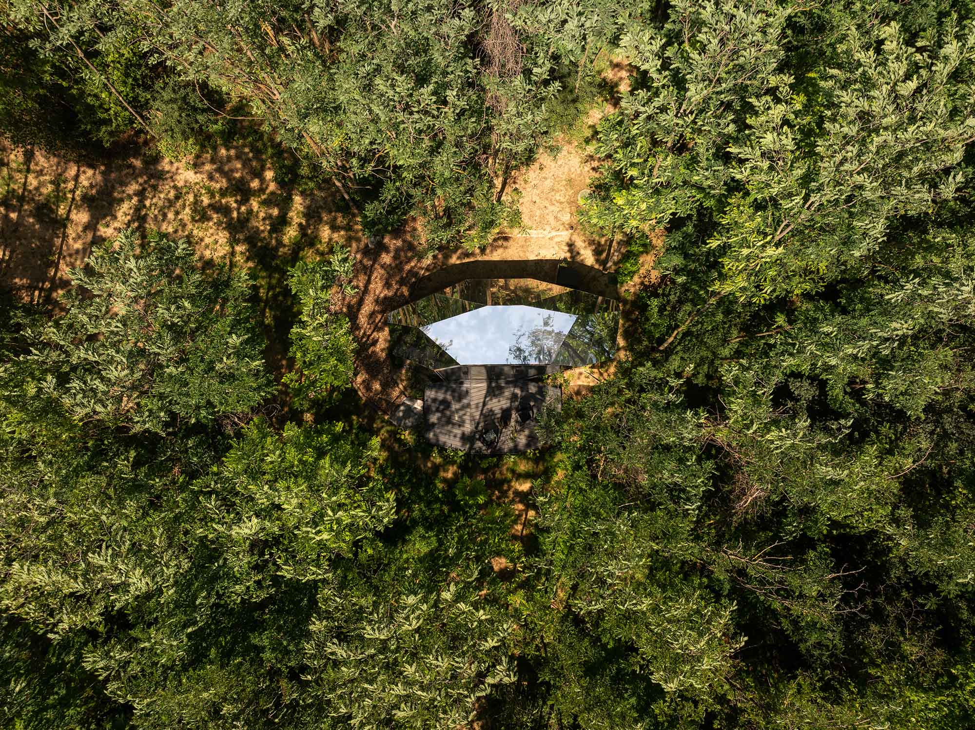 〈PEBL Grand〉Hello Wood